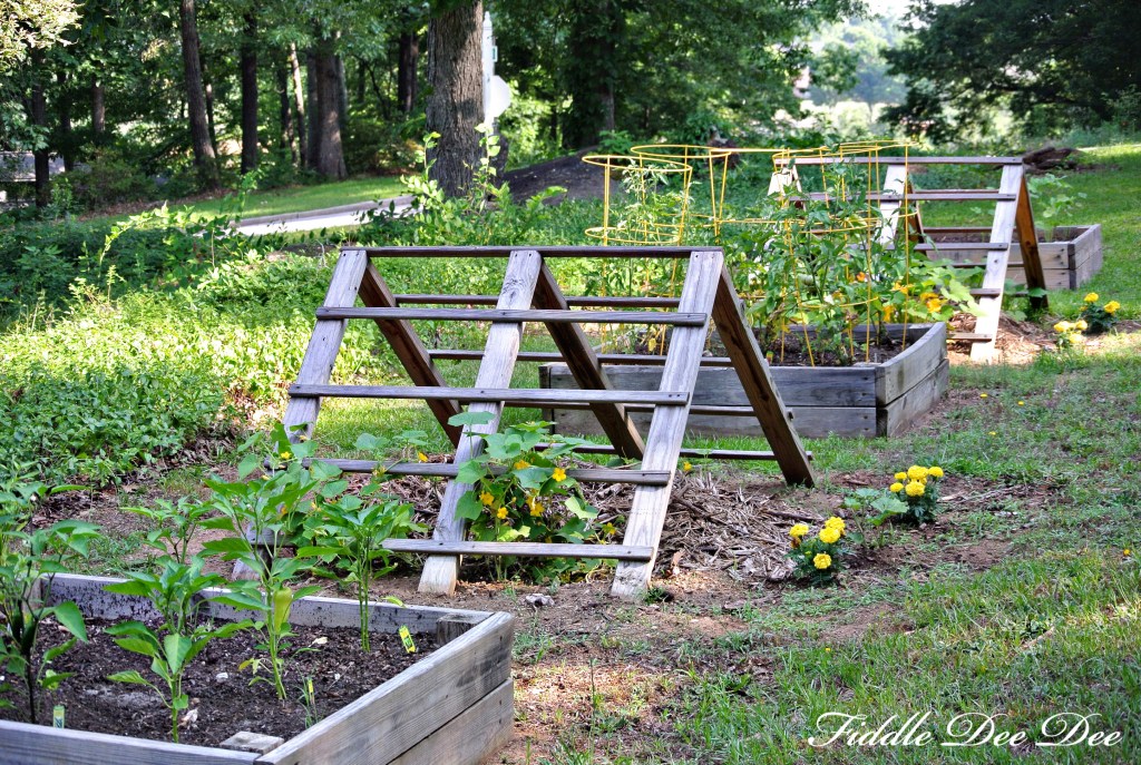 raised garden bed