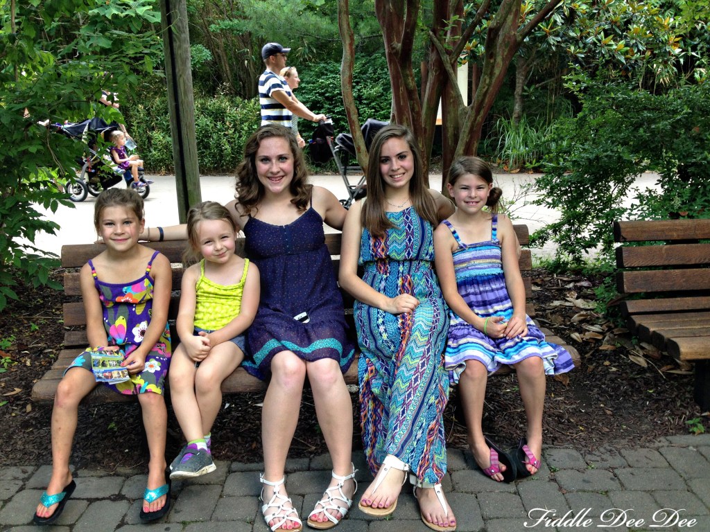 My girls and nieces ... aren't they all so beautiful?