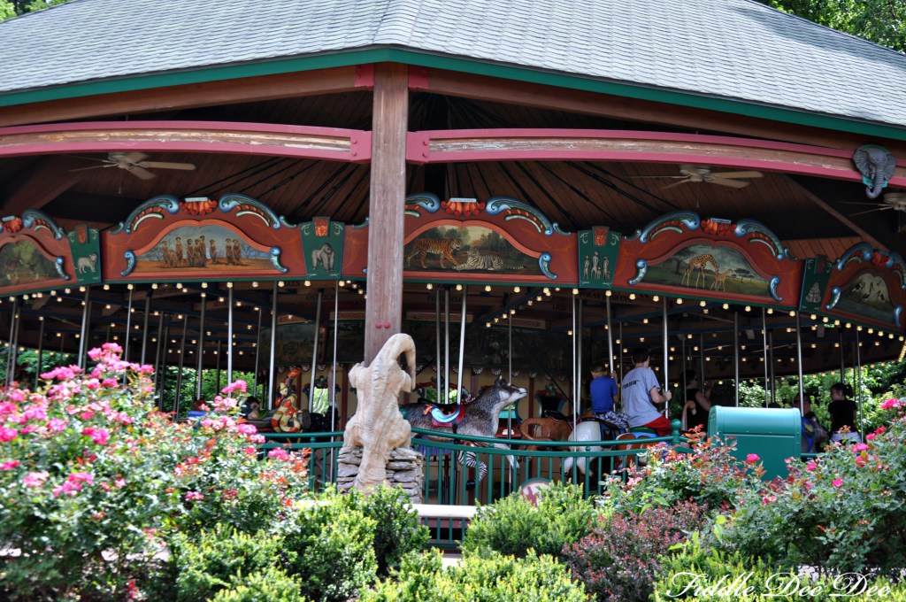 I love carousels ... they take me back in time.