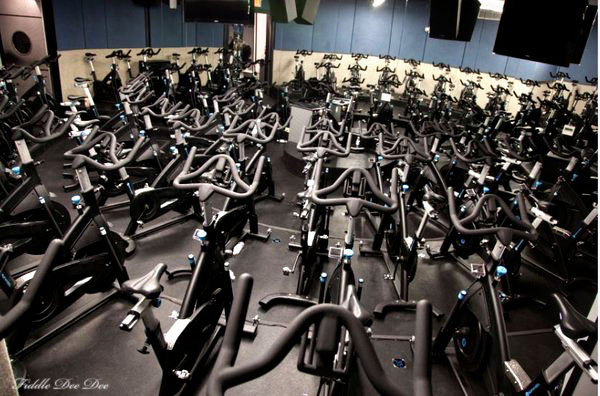 Arena style spin studio