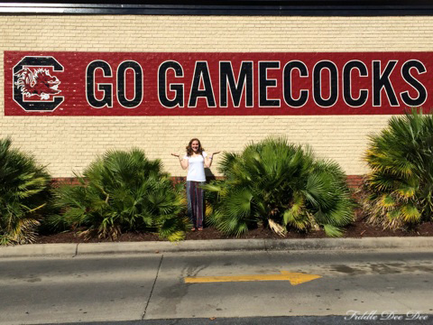 Seriously, A Gamecock?