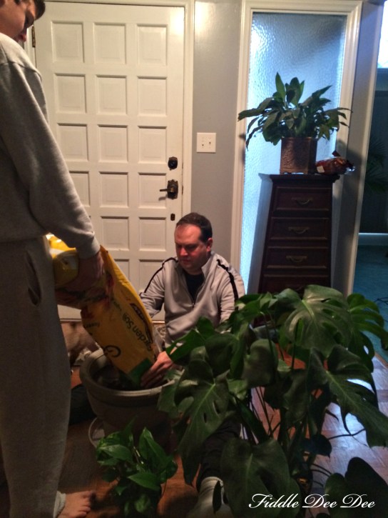 I think greenery totally completes a space.