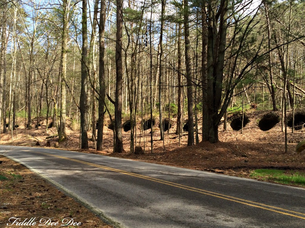 Coming into the Grundy Lakes park area