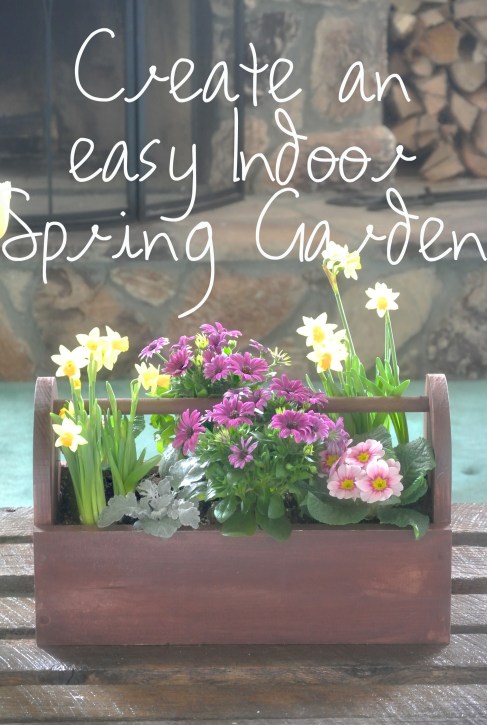 Creating an easy indoor garden