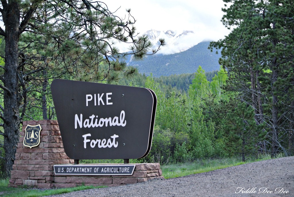 Welcome to Pike National Forest