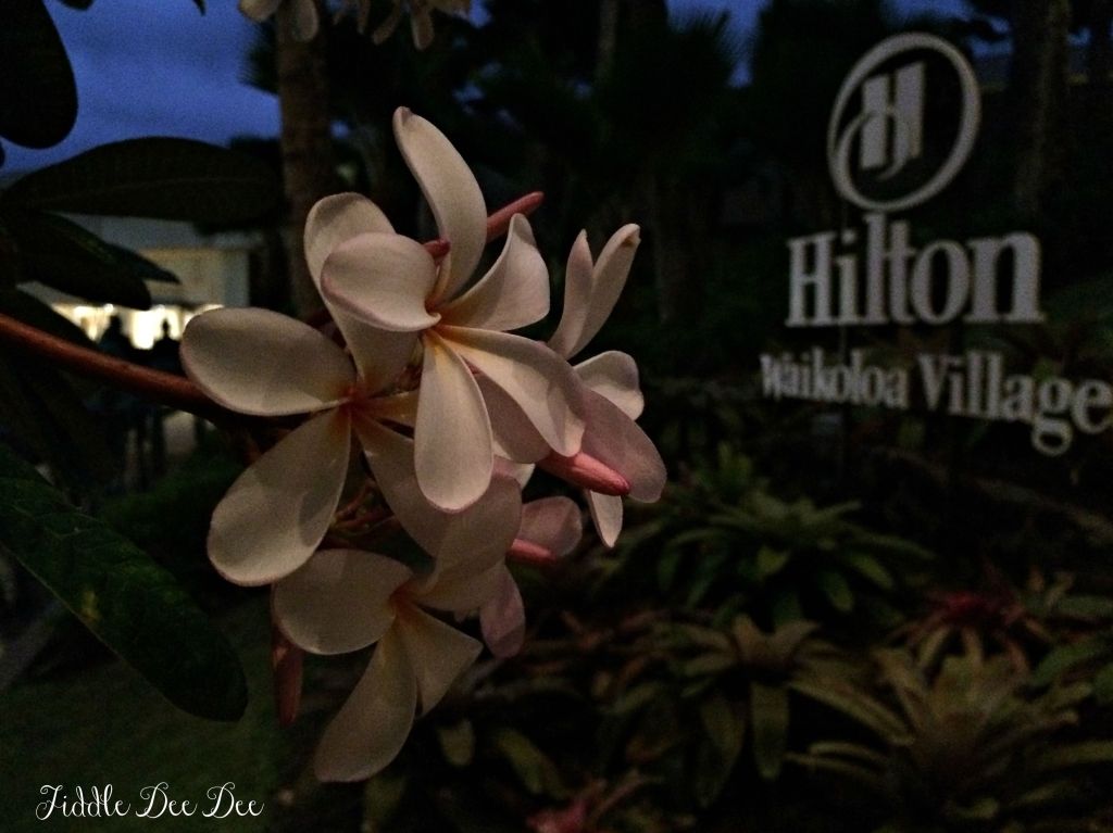 Hilton Waikoloa Village
