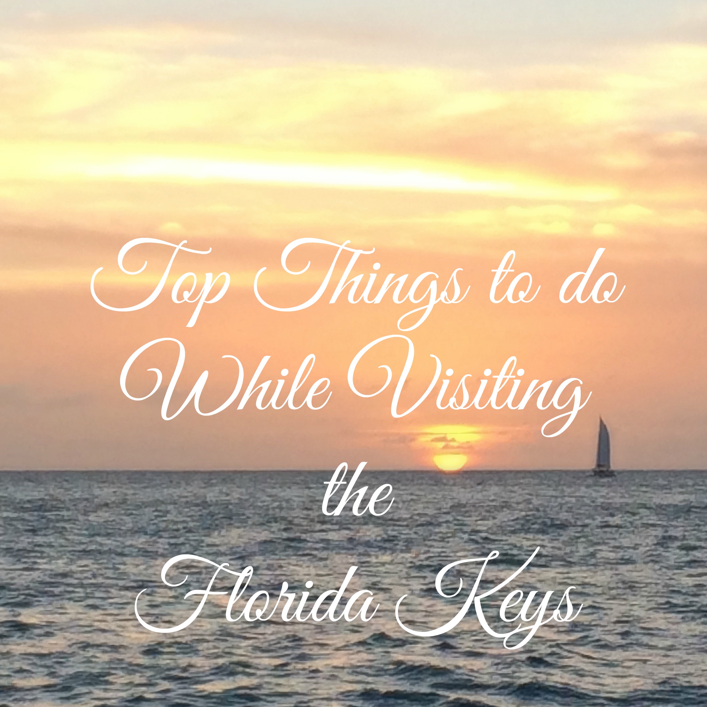 Top Things to do While Visiting the Florida Keys