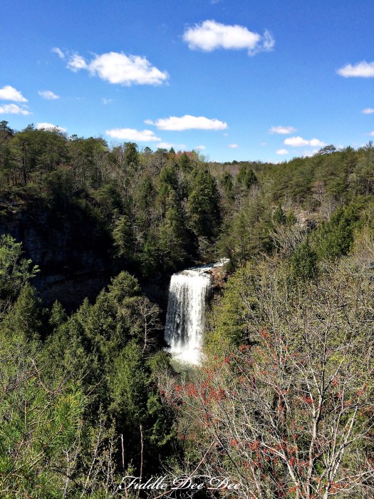 View from the overlook