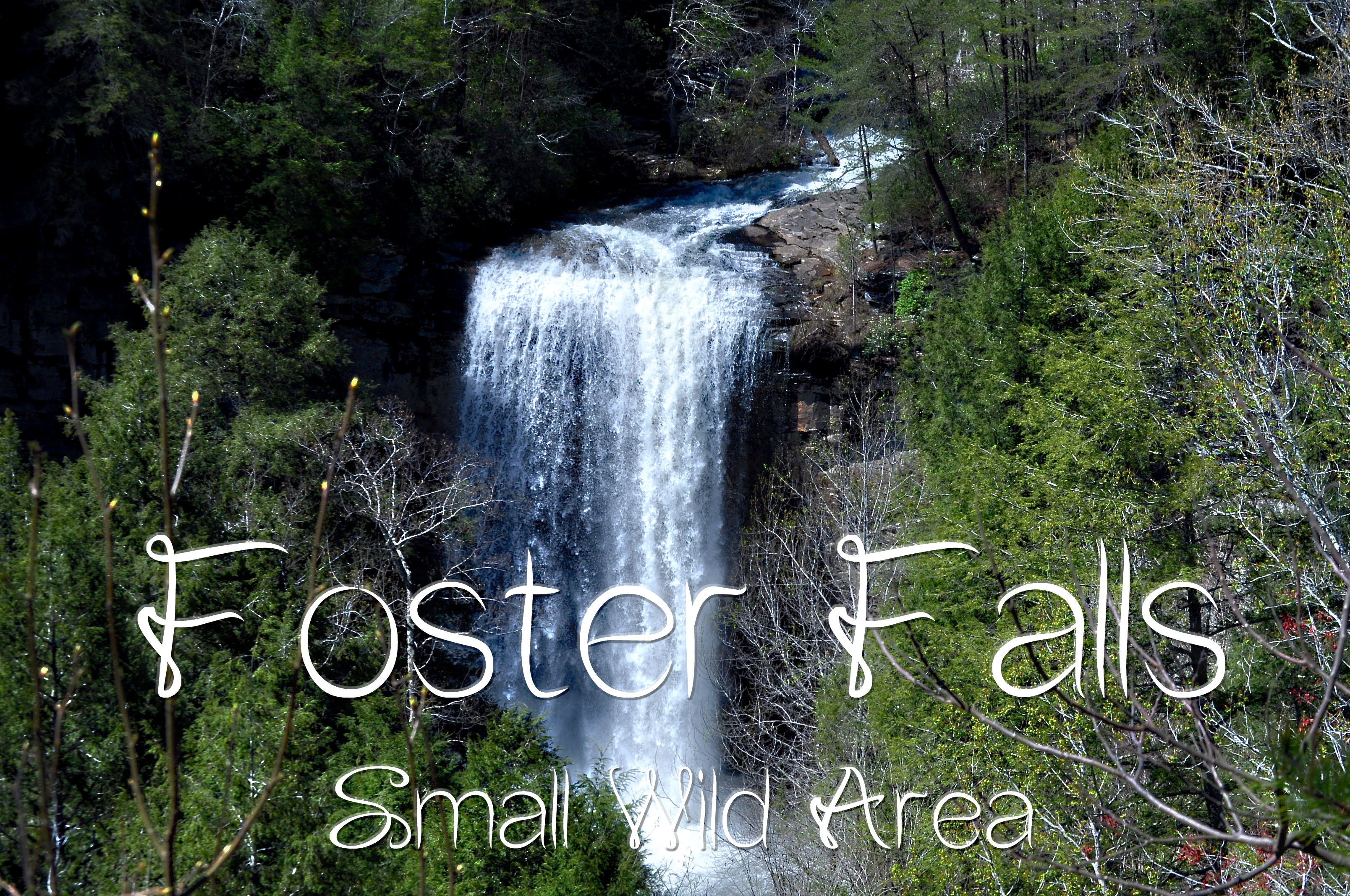 Foster Falls1