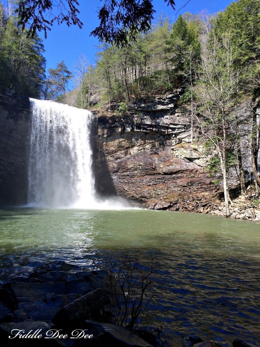 Normally the pool is emerald green, but the southern spring rains had the pool looking a little murkey.