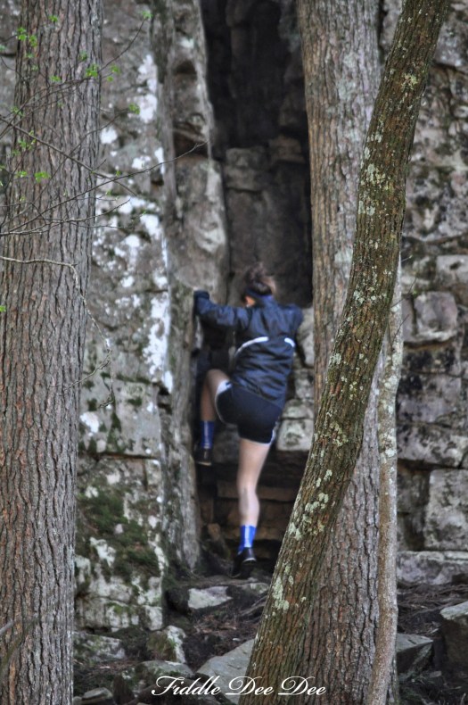 Free Climbing at Foster Falls