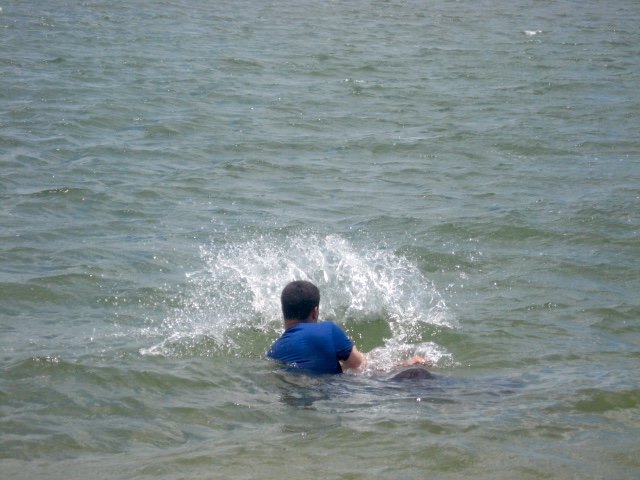 13769378_841220625980067_3998878798528831504_n