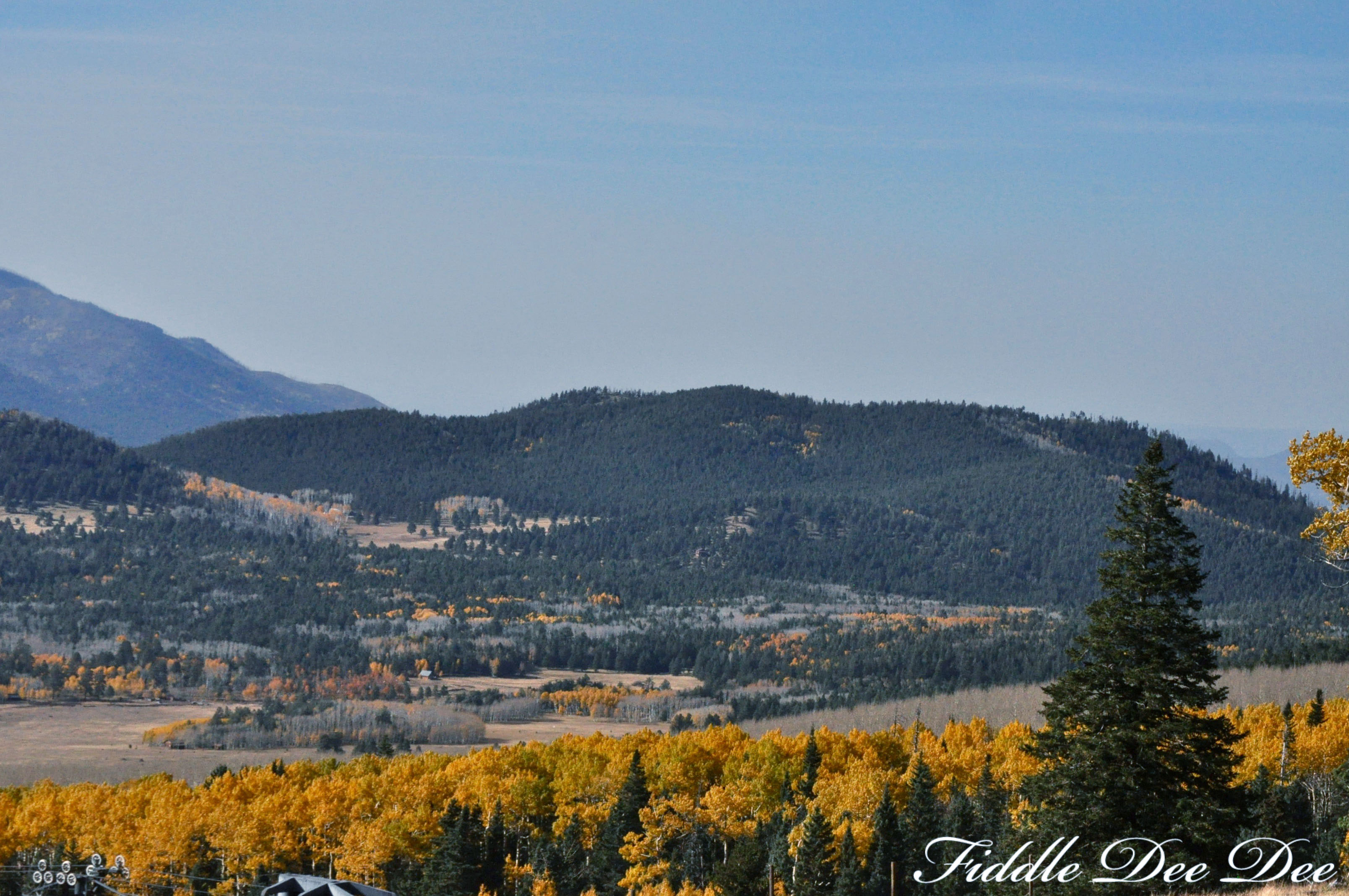 arizona-weekend-1-oh-fiddledeedee-com