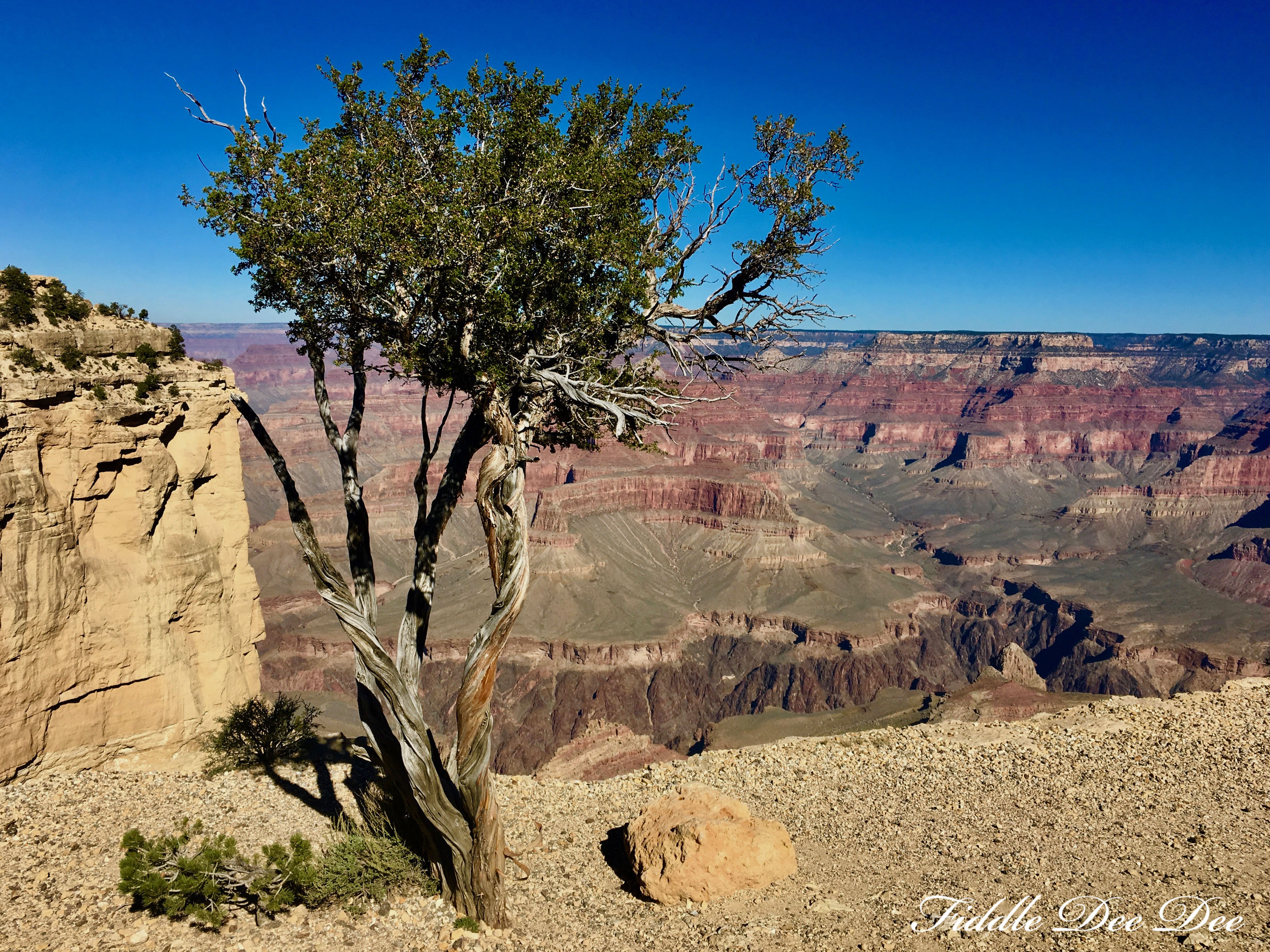 arizona-weekend-11-oh-fiddledeedee-com