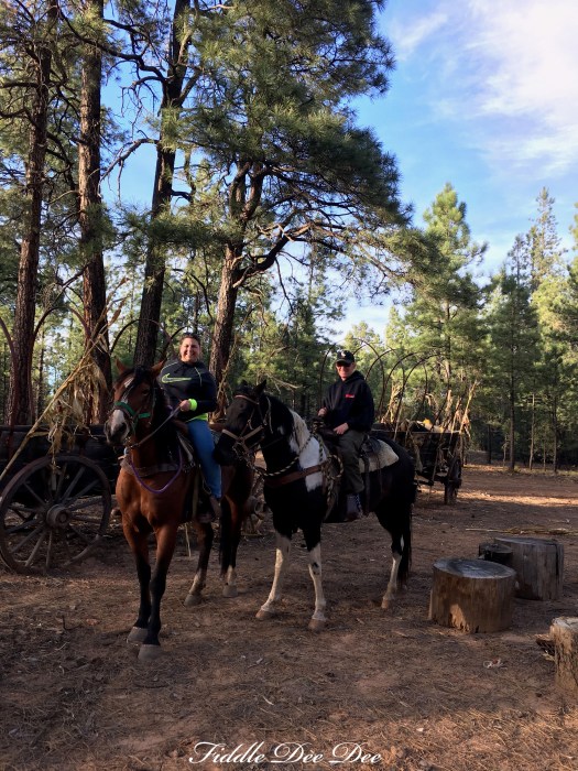 arizona-weekend-16-oh-fiddledeedee-com