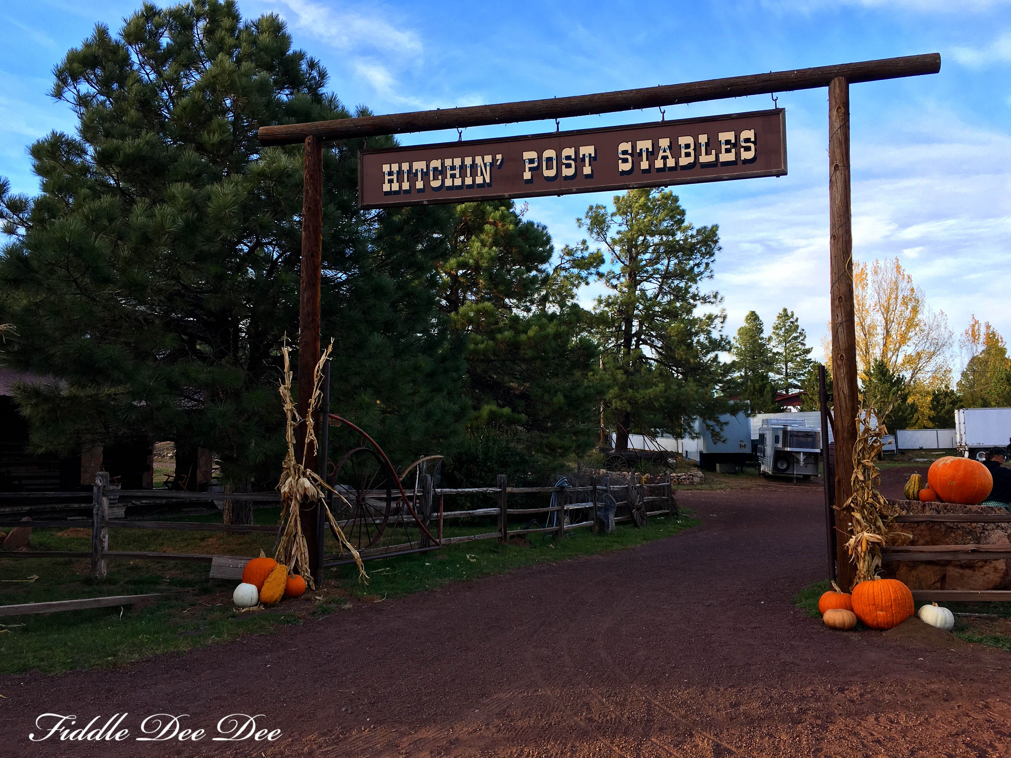 arizona-weekend-17-oh-fiddledeedee-com