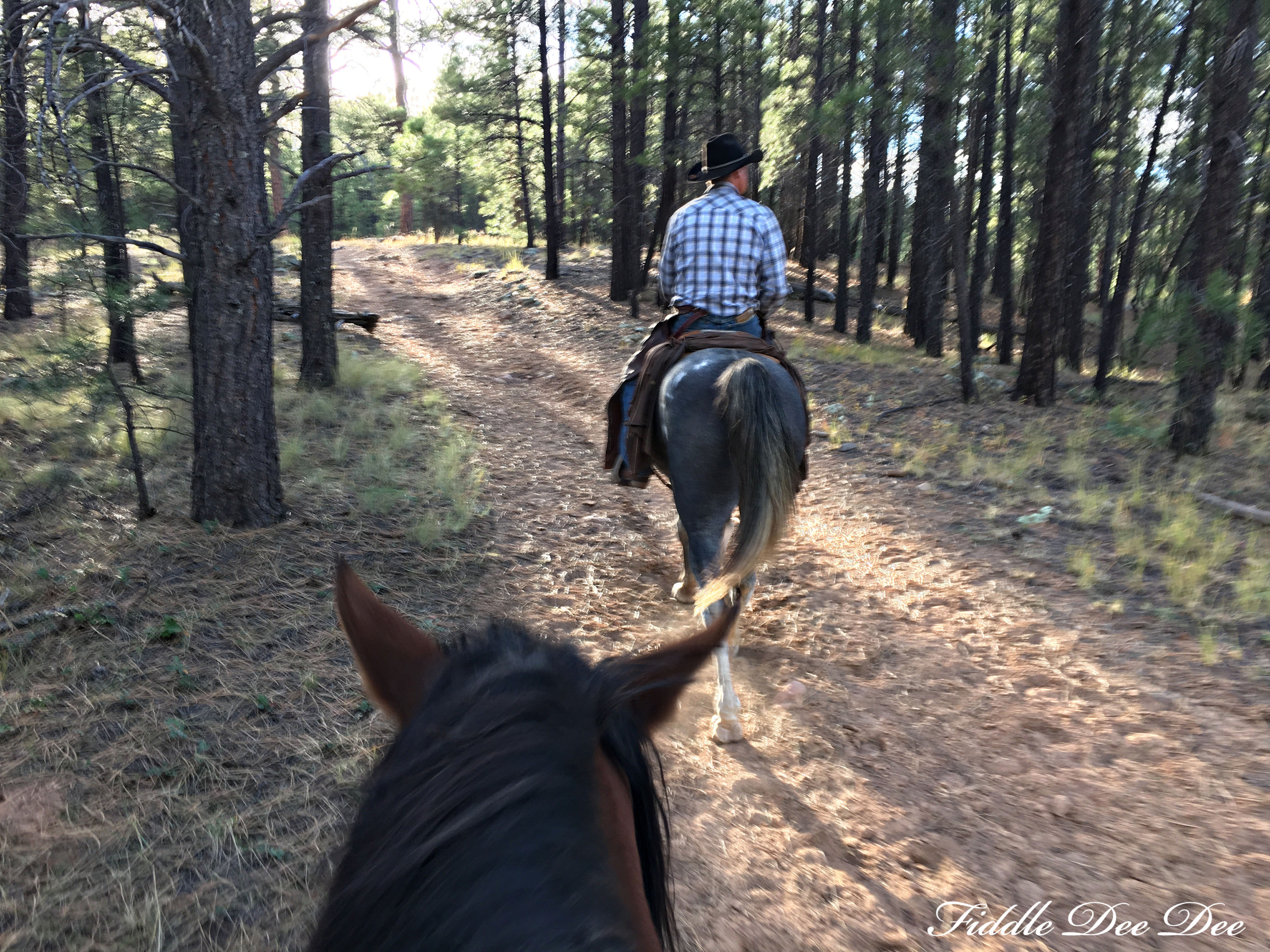 arizona-weekend-18-oh-fiddledeedee-com