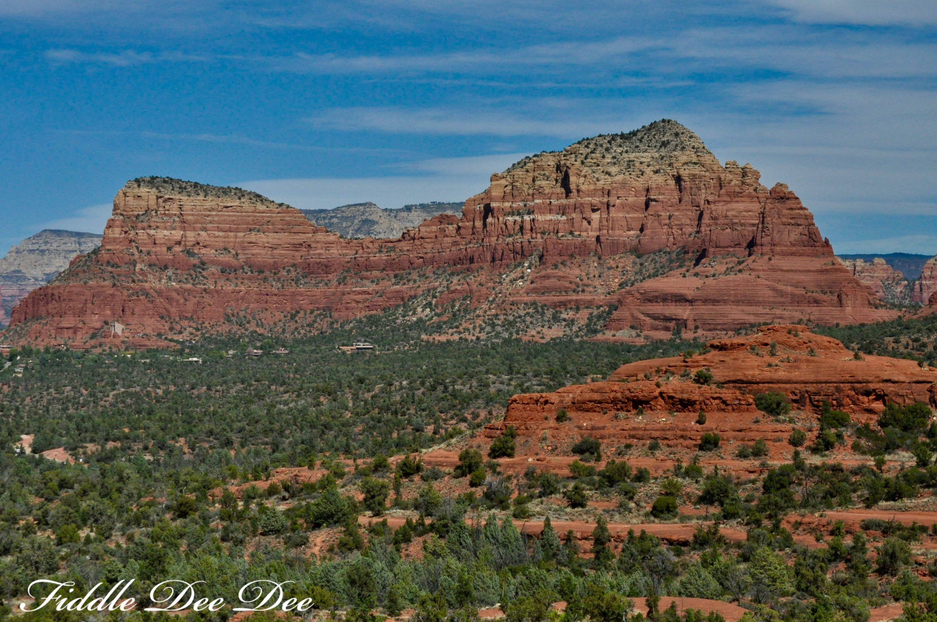 arizona-weekend-8-oh-fiddledeedee-com