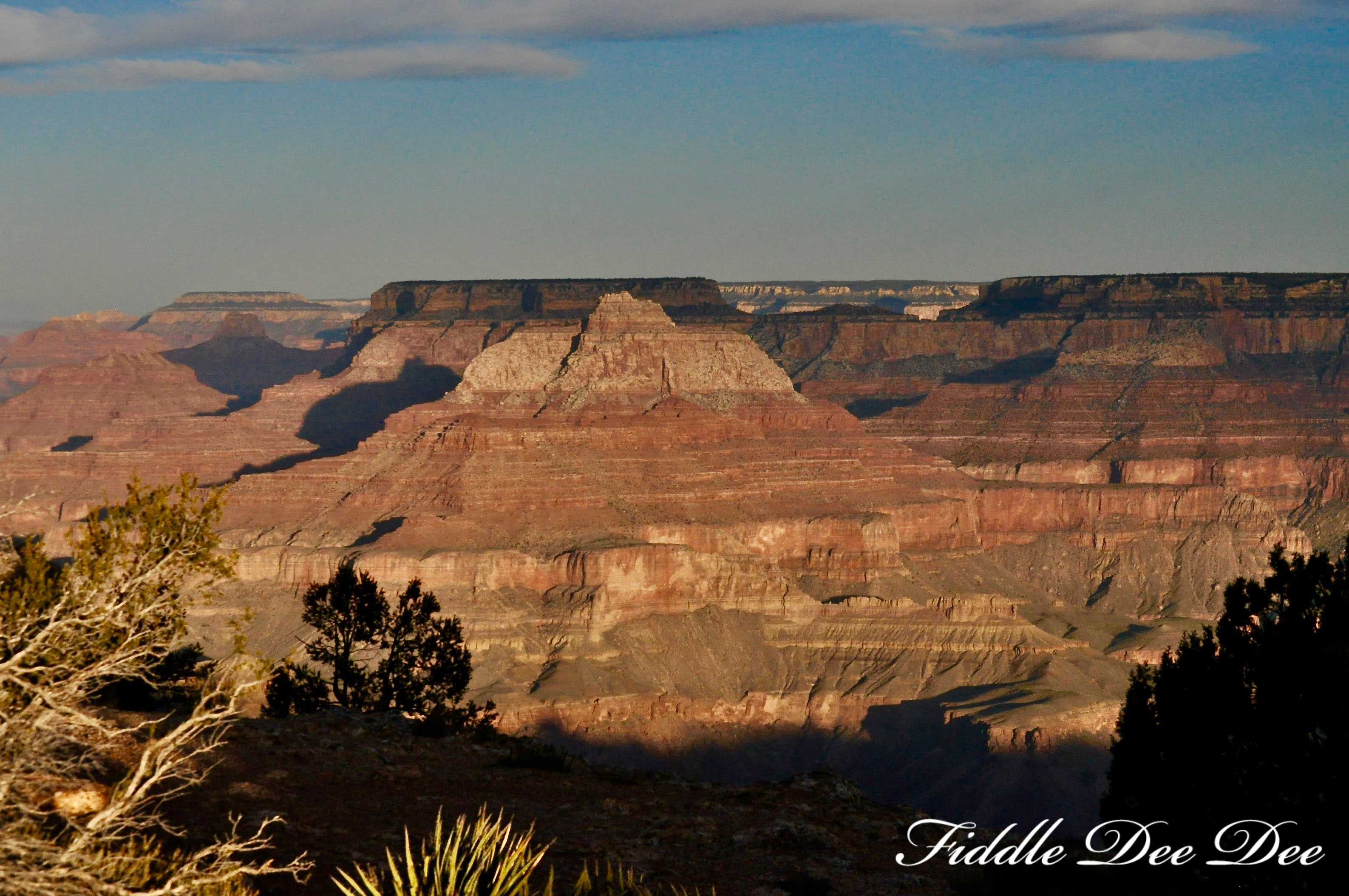 arizona-weekend-oh-fiddledeedee-com