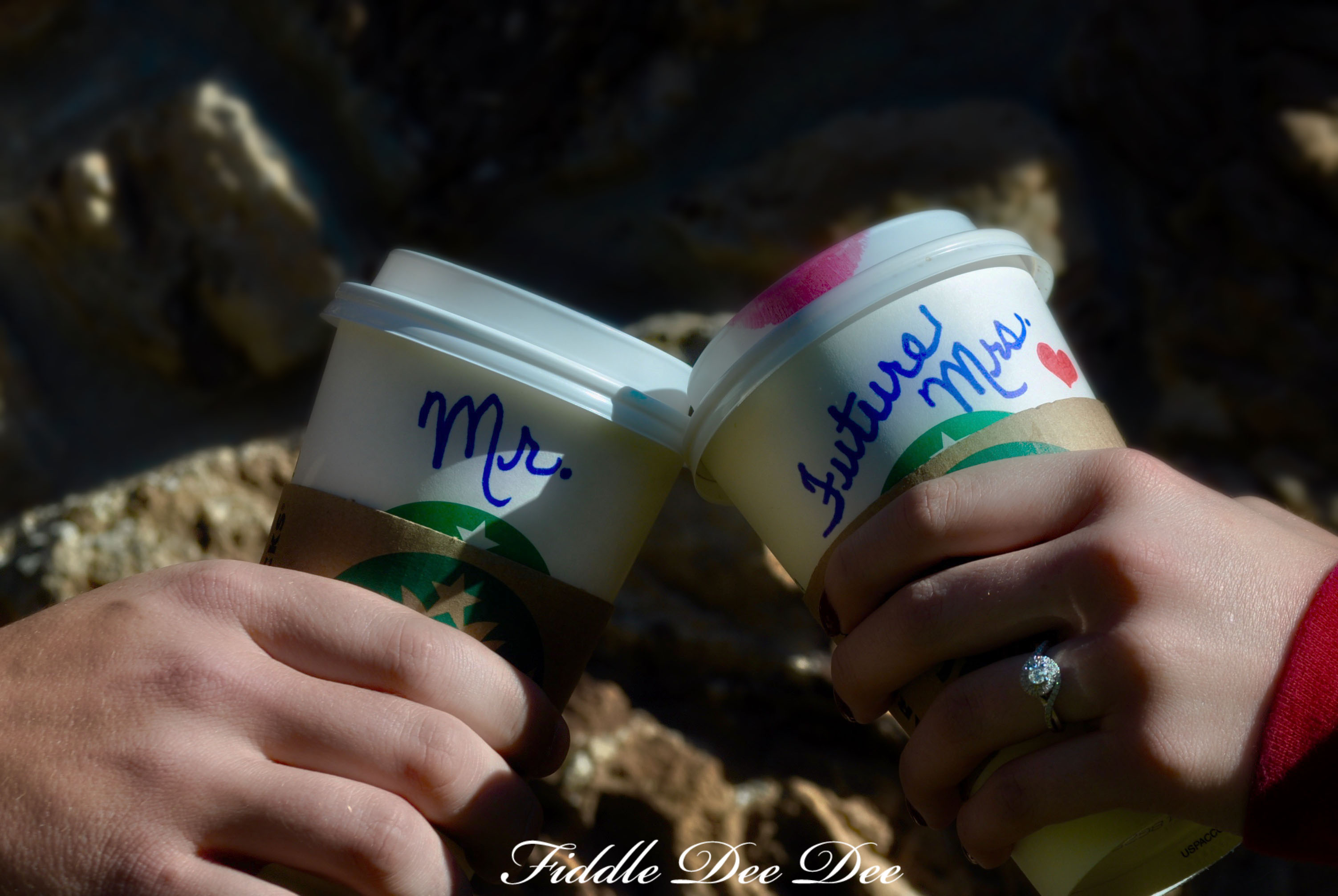 shes-getting-married-2-oh-fiddledeedee-com