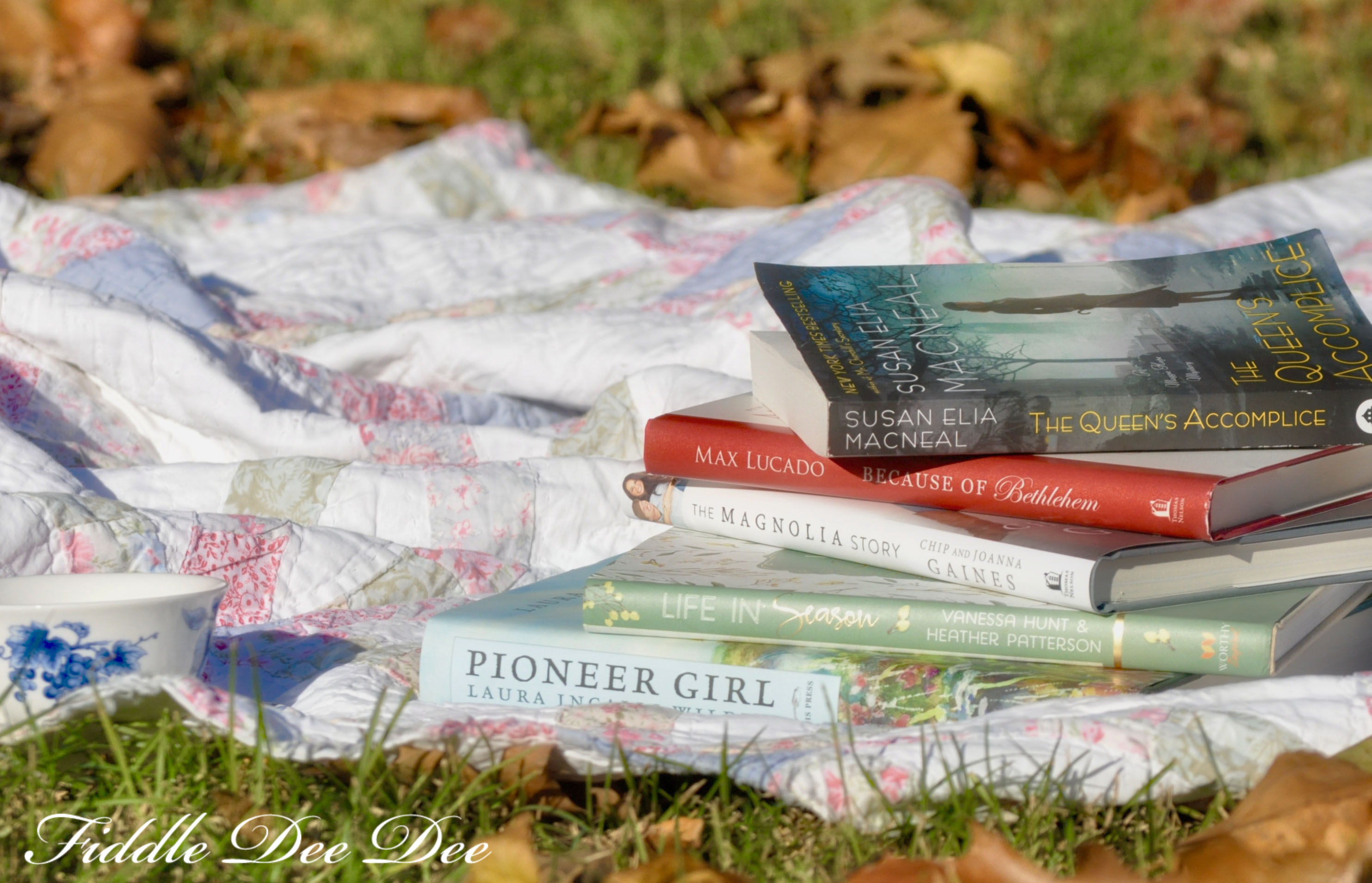 what-im-reading-2-oh-fiddledeedee-com