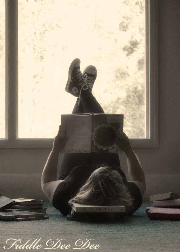 what-im-reading-5-oh-fiddledeedee-com