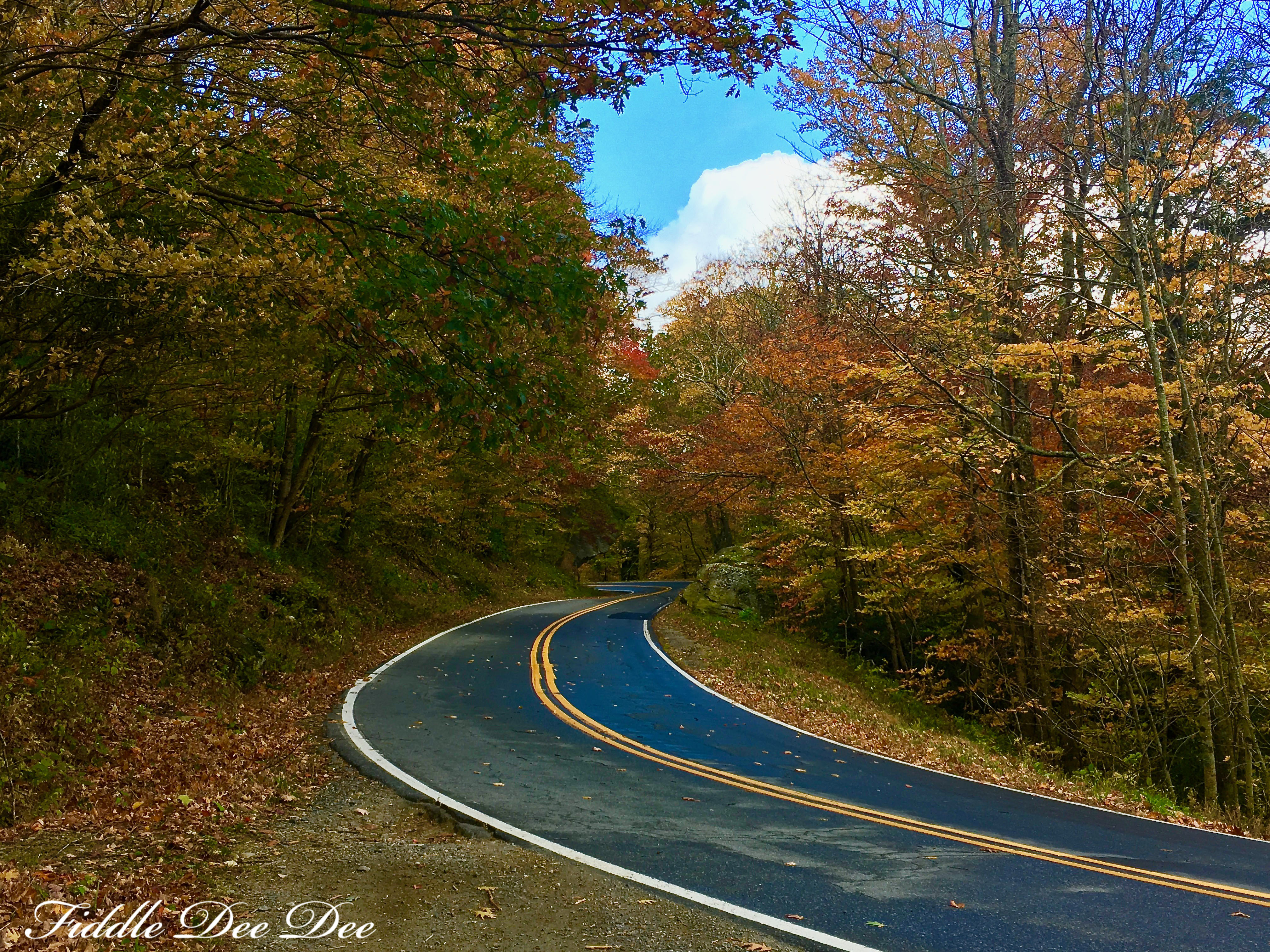 five-things-4-ohfiddledeedee-com