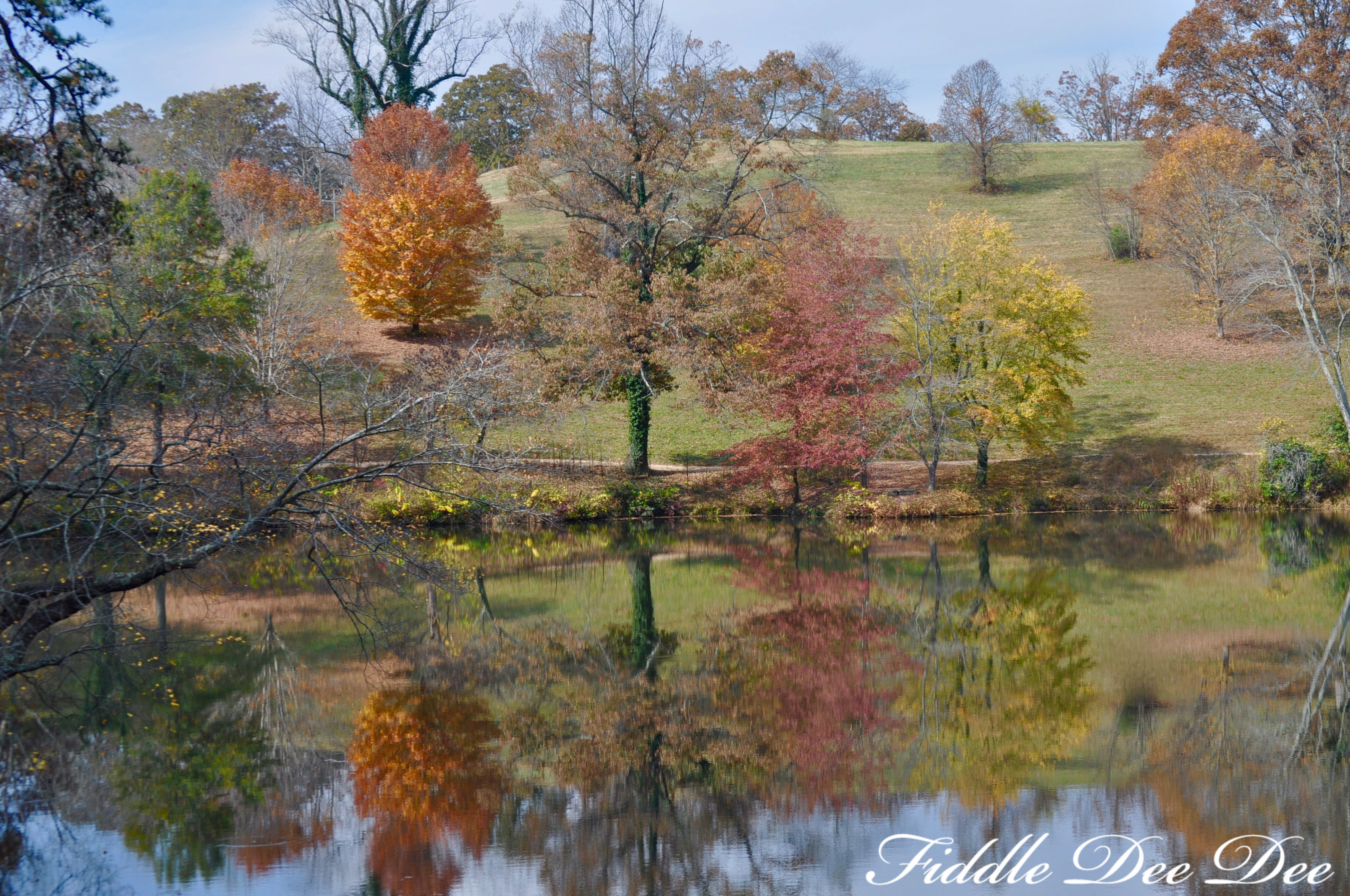 five-things-ohfiddledeedee-com