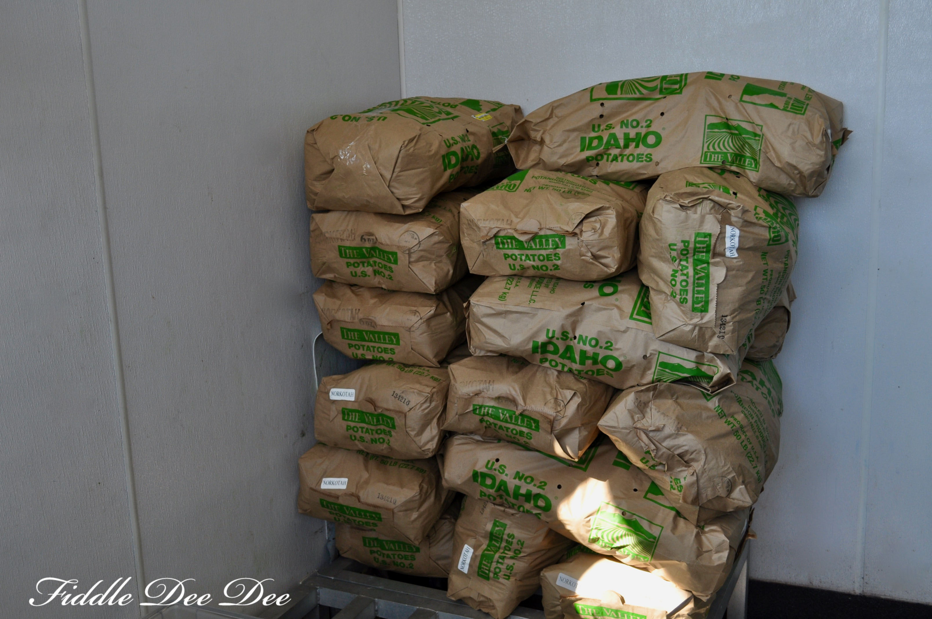 pdq-5-ohfiddledeedee-com