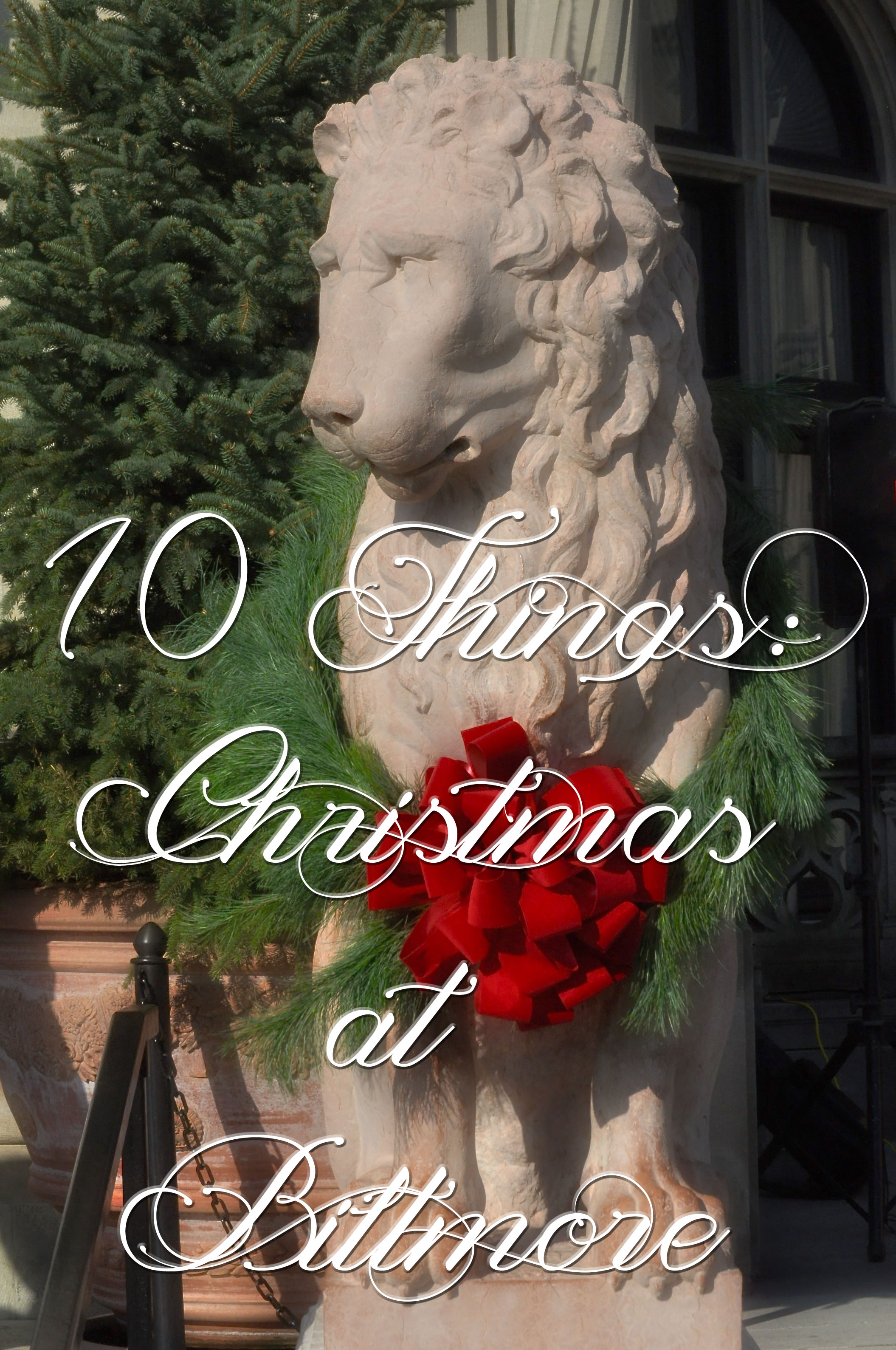 10-things-biltmore-christmas-ohfiddledeedee-com