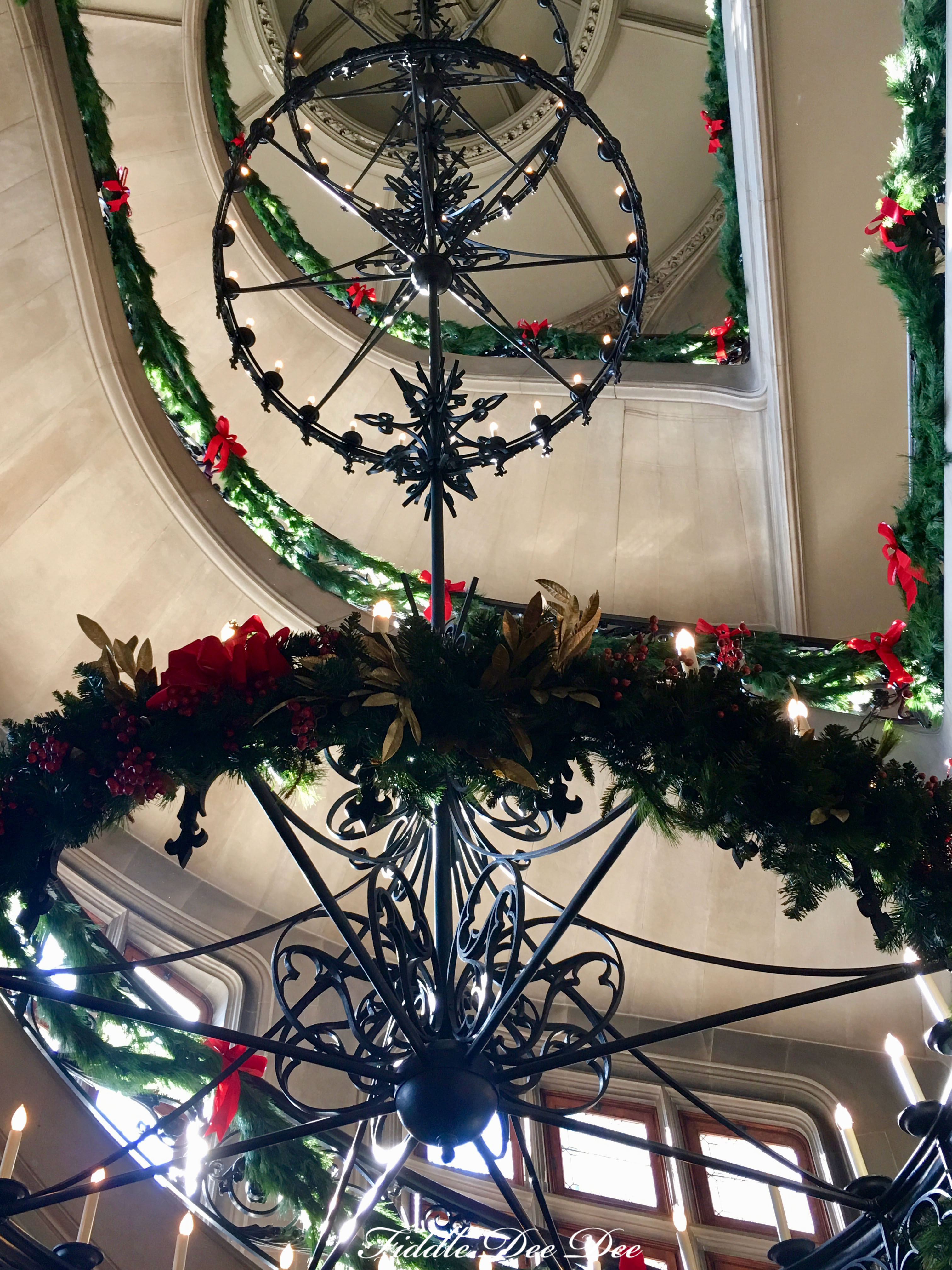 biltmore-christmas-23-ohfiddledeedee-com