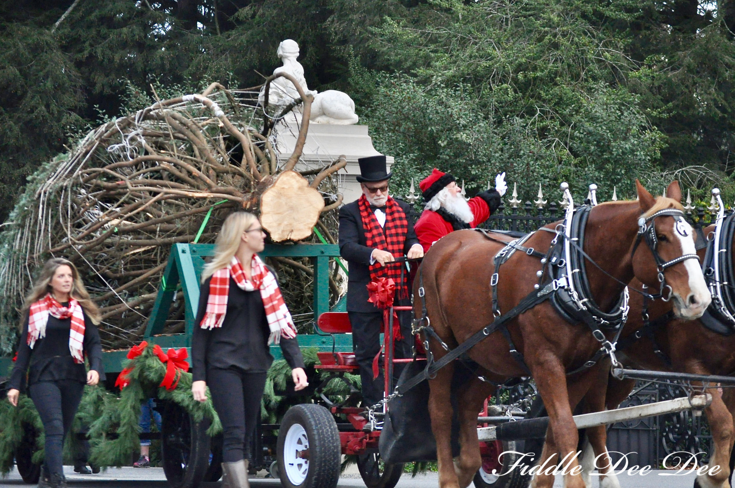 biltmore-christmas-ohfiddledeedee-com