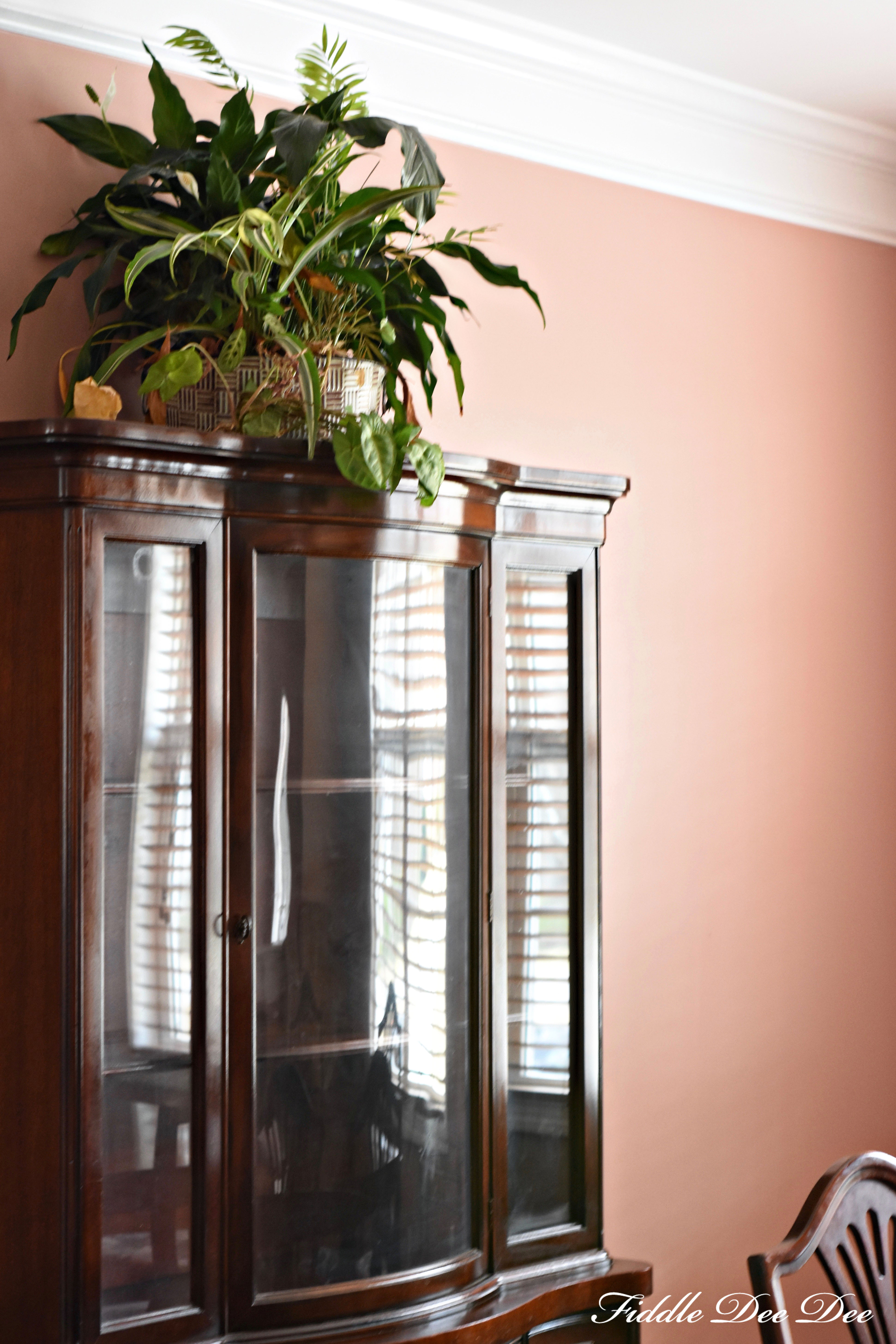 Peak of new dining room