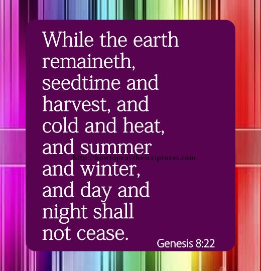 While-The-Earth-Remaineth-Genesis-8-22