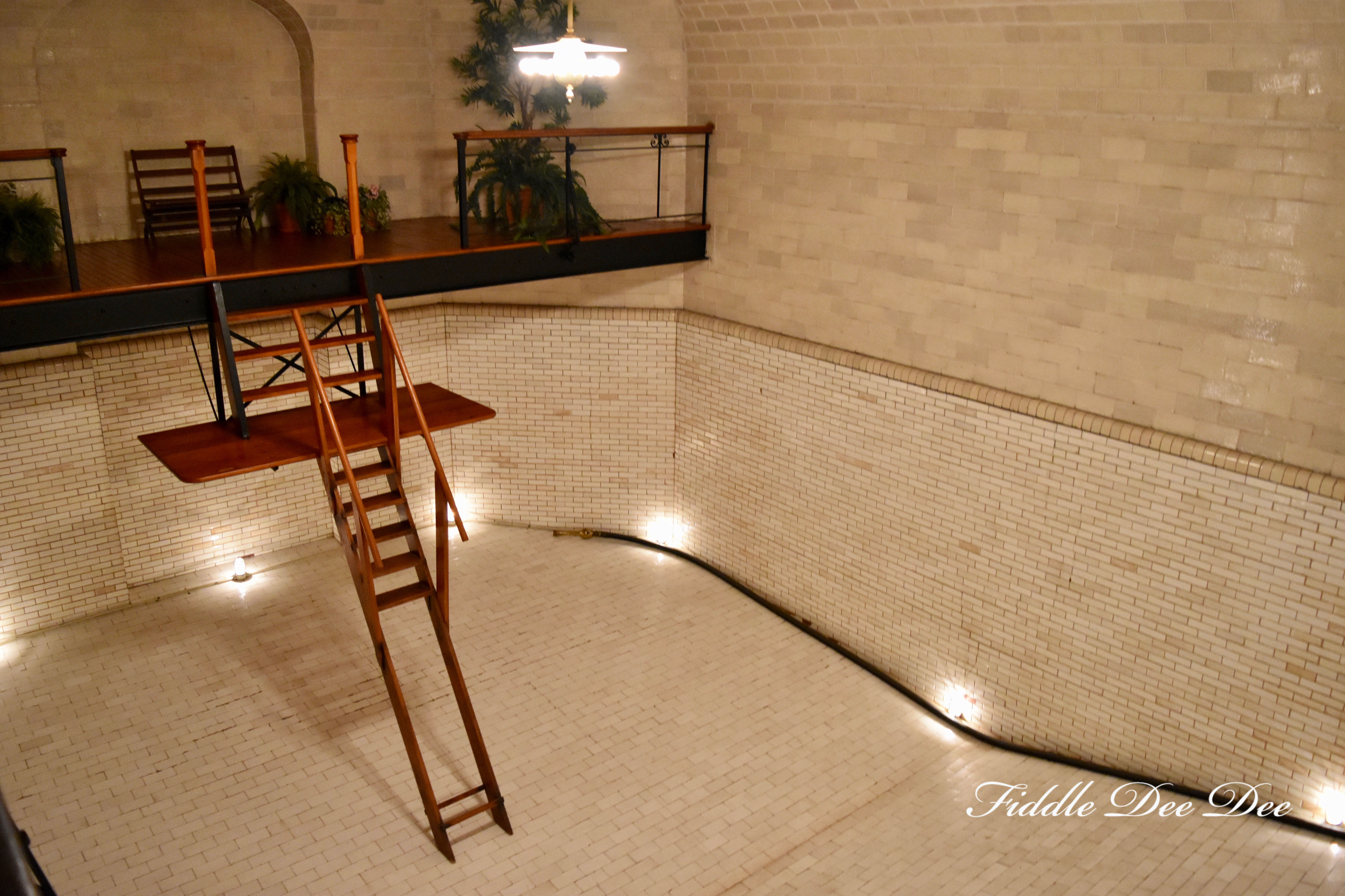 Biltmore-Estate-Indoor-Pool | Fiddle Dee Dee