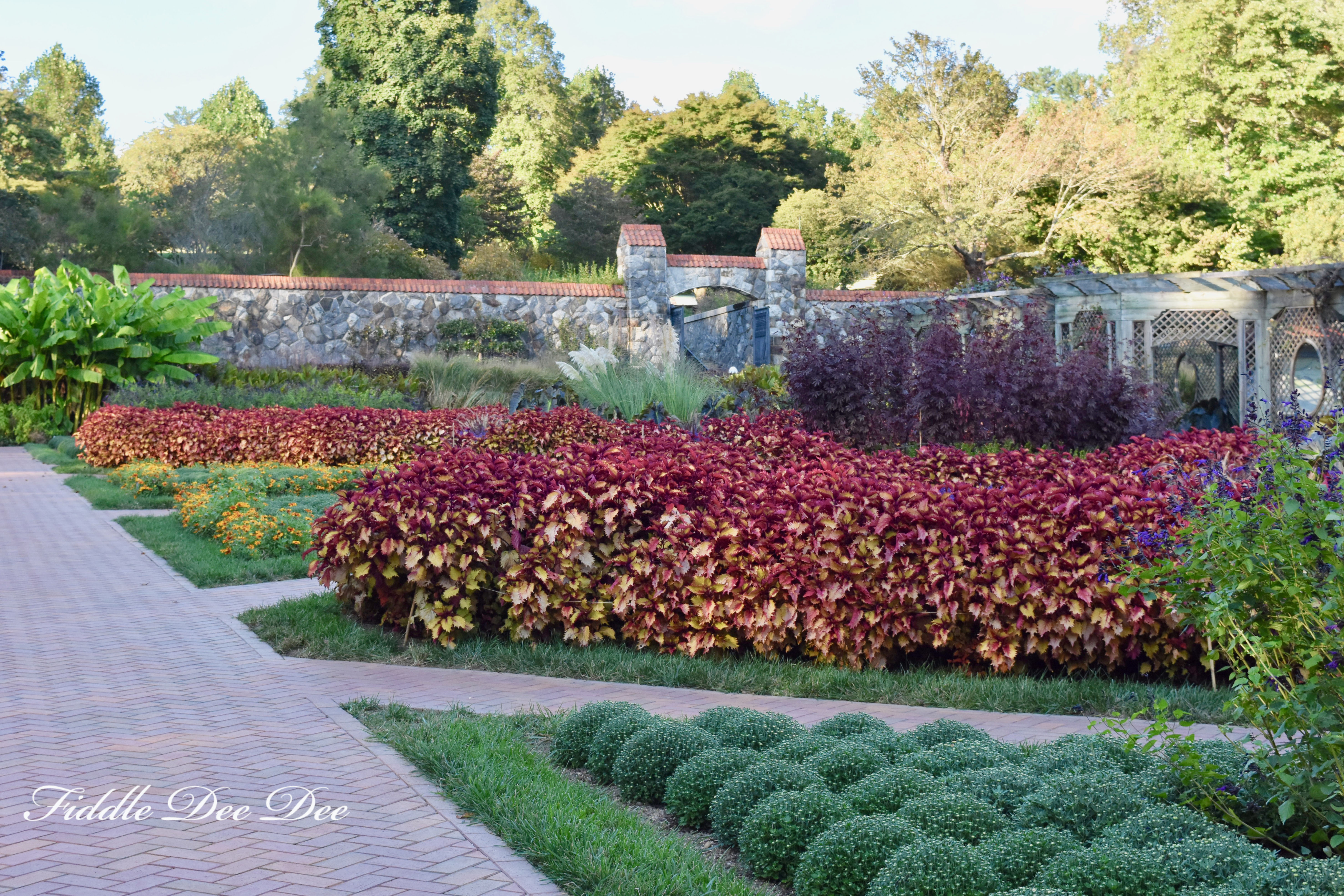 Biltmore-Garden | Fiddle Dee Dee