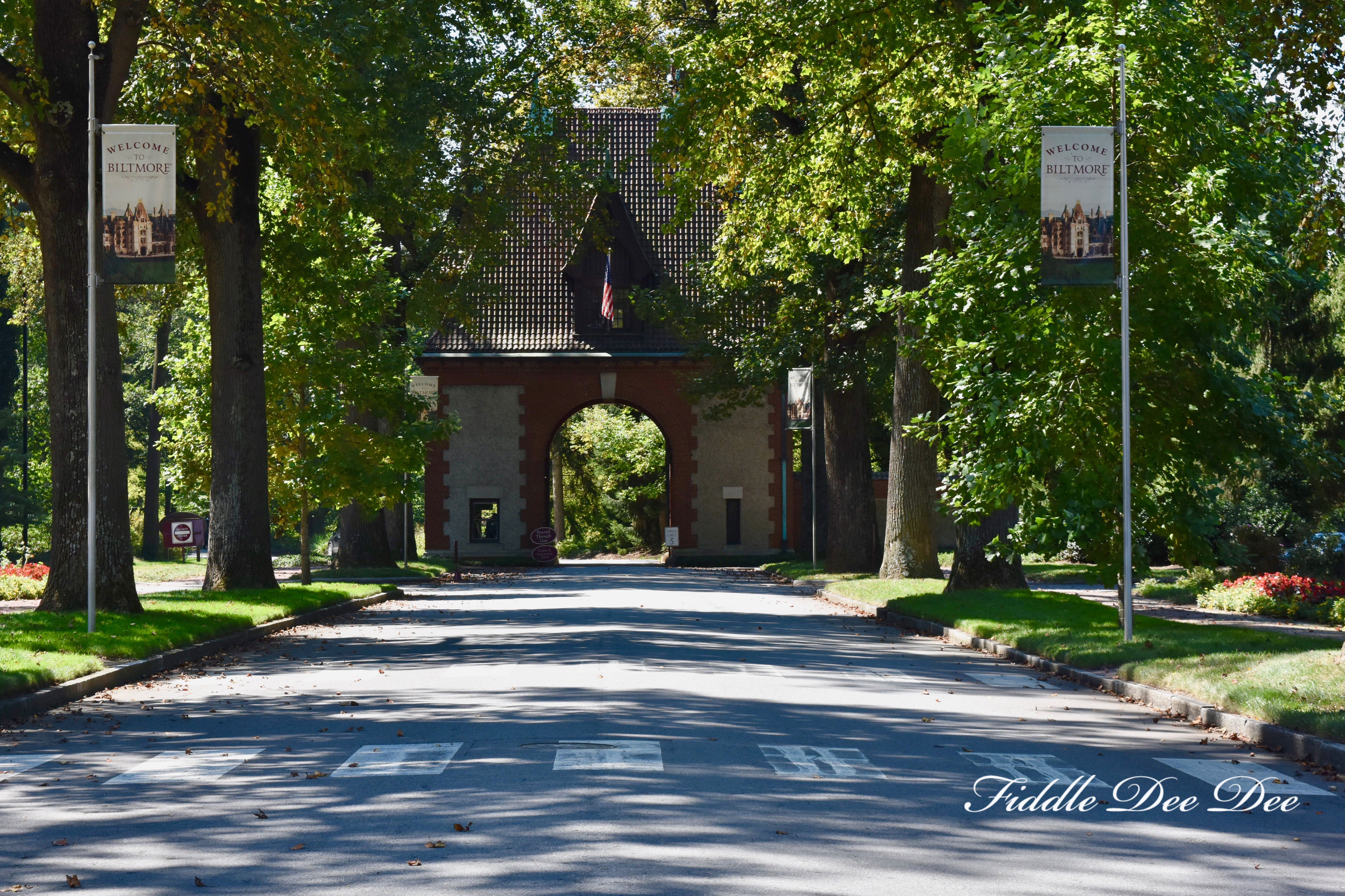 Biltmore-Welcome | Fiddle Dee Dee