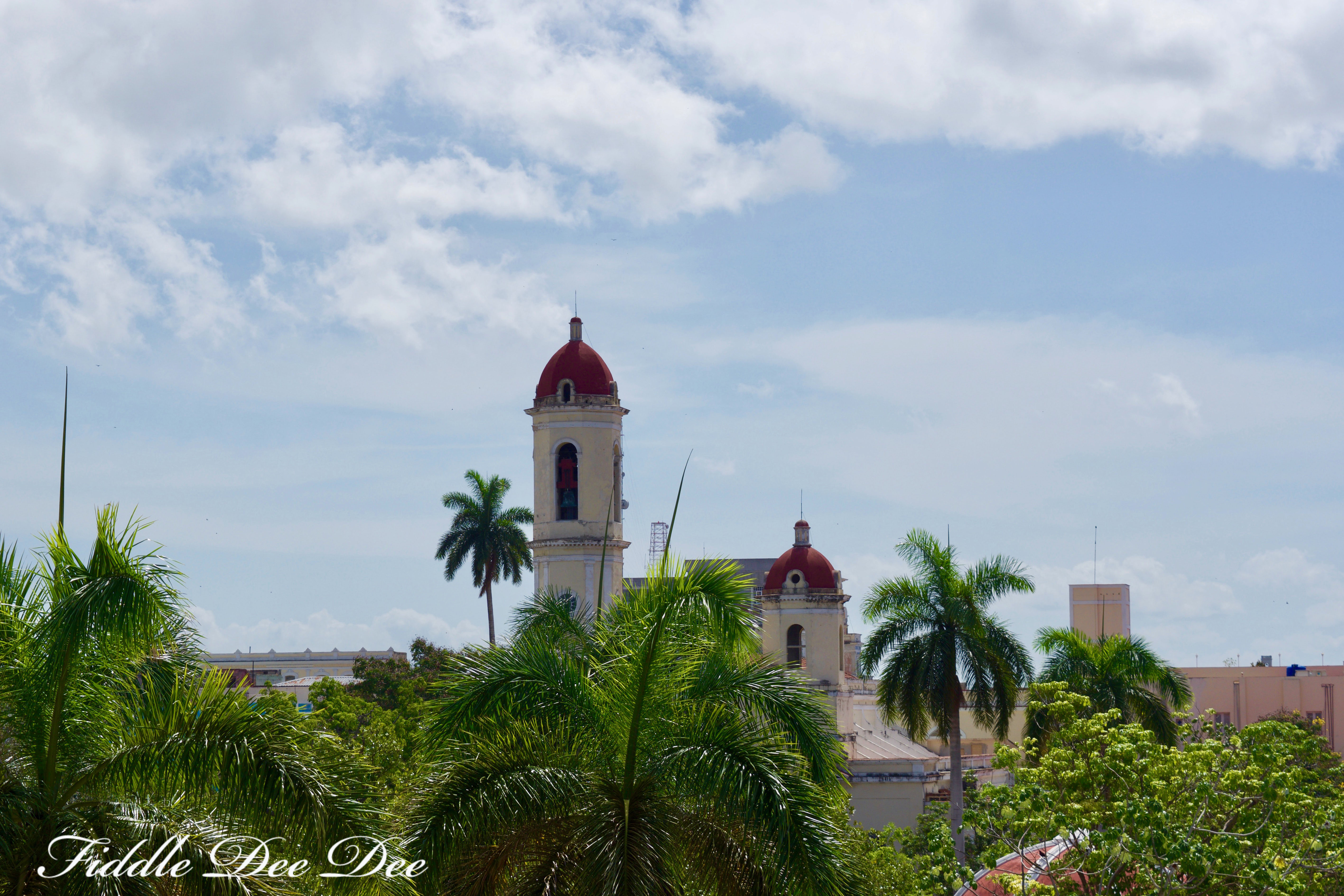 Catedral de Nuestra Señora de la Purísima Concepción-2 | Fiddle Dee Dee