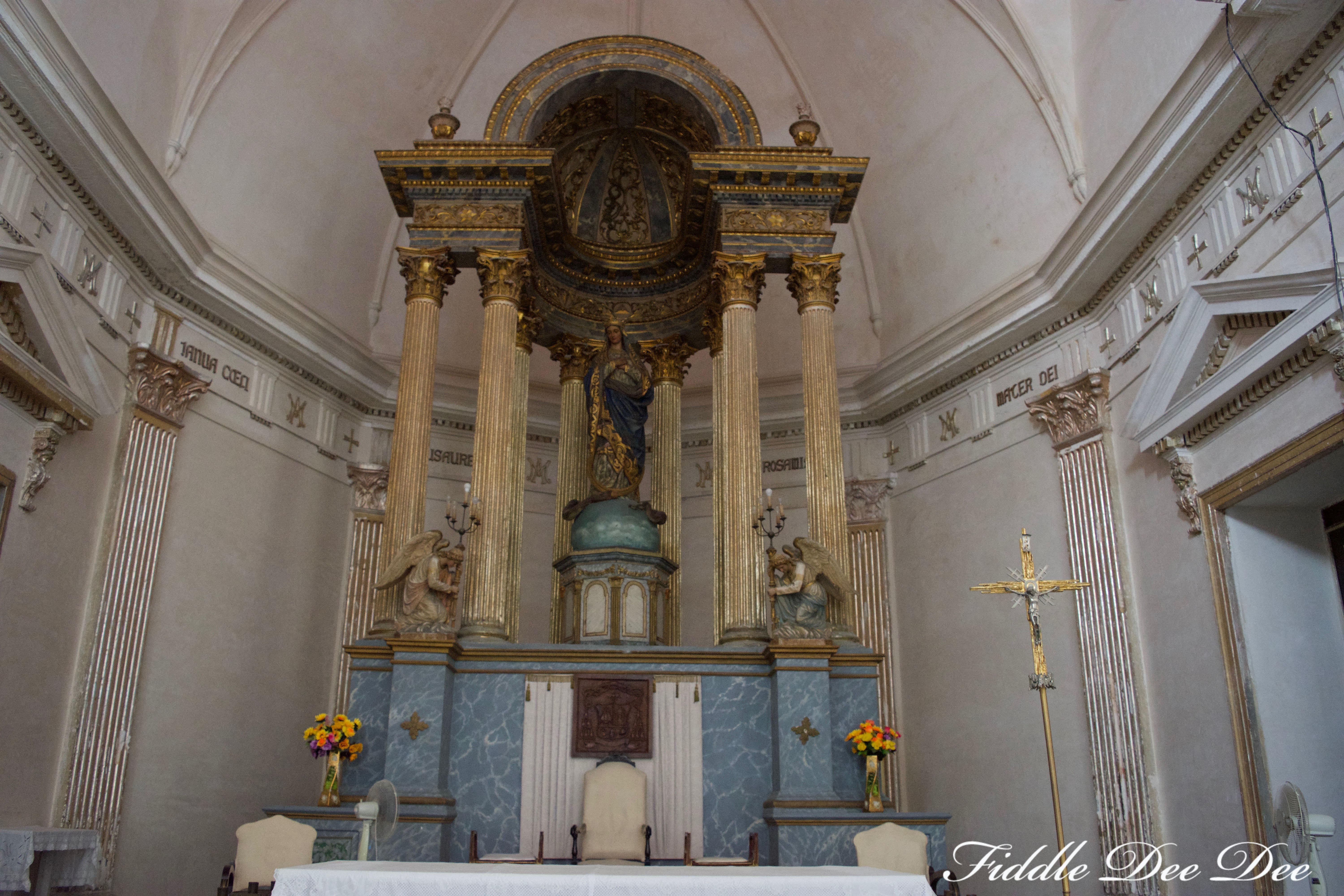 Catedral de Nuestra Señora de la Purísima Concepción | Fiddle Dee Dee