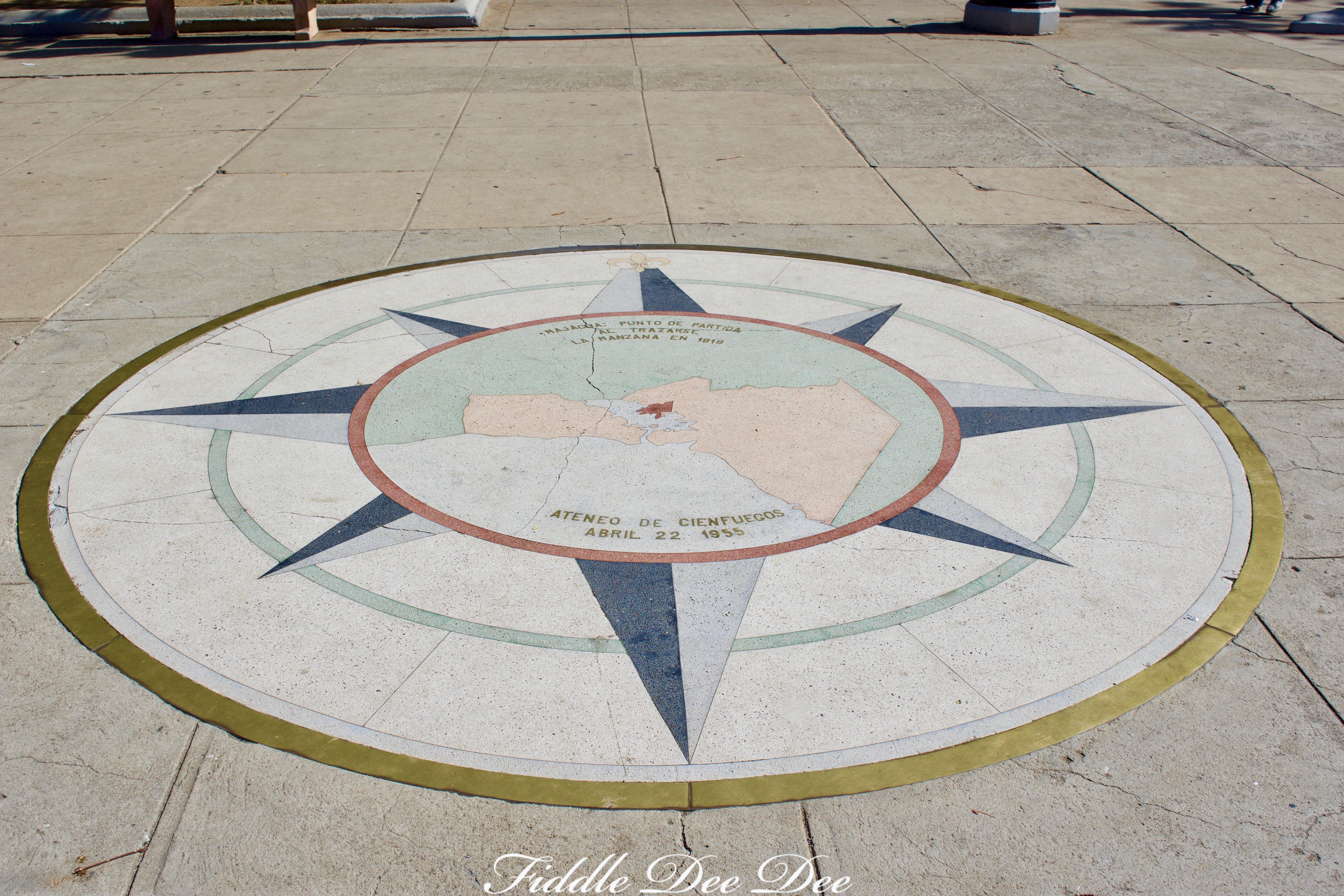 Cienfuegos-Center | FIddle Dee Dee