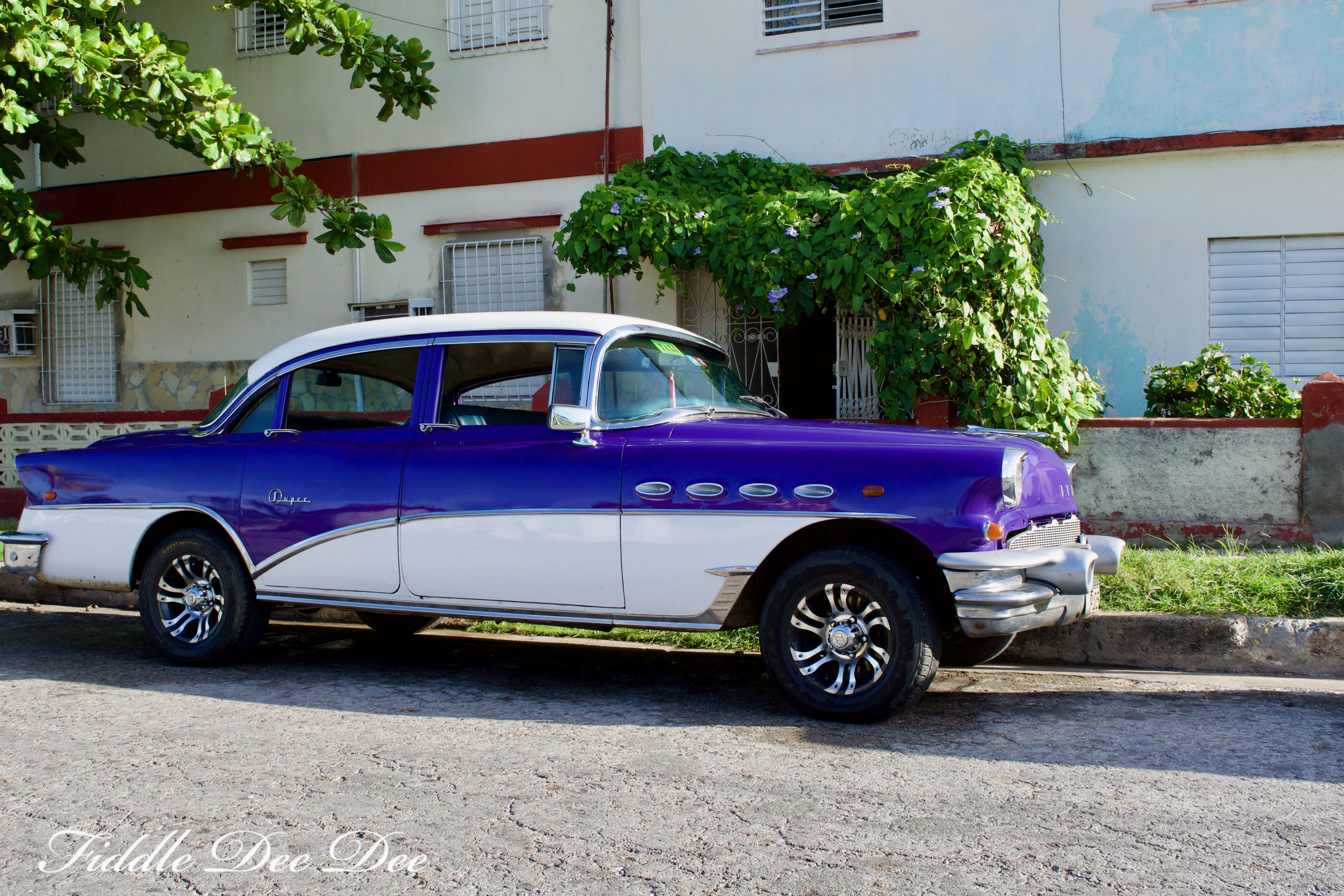 Cuban-Car-Show-12 | Fiddle Dee Dee