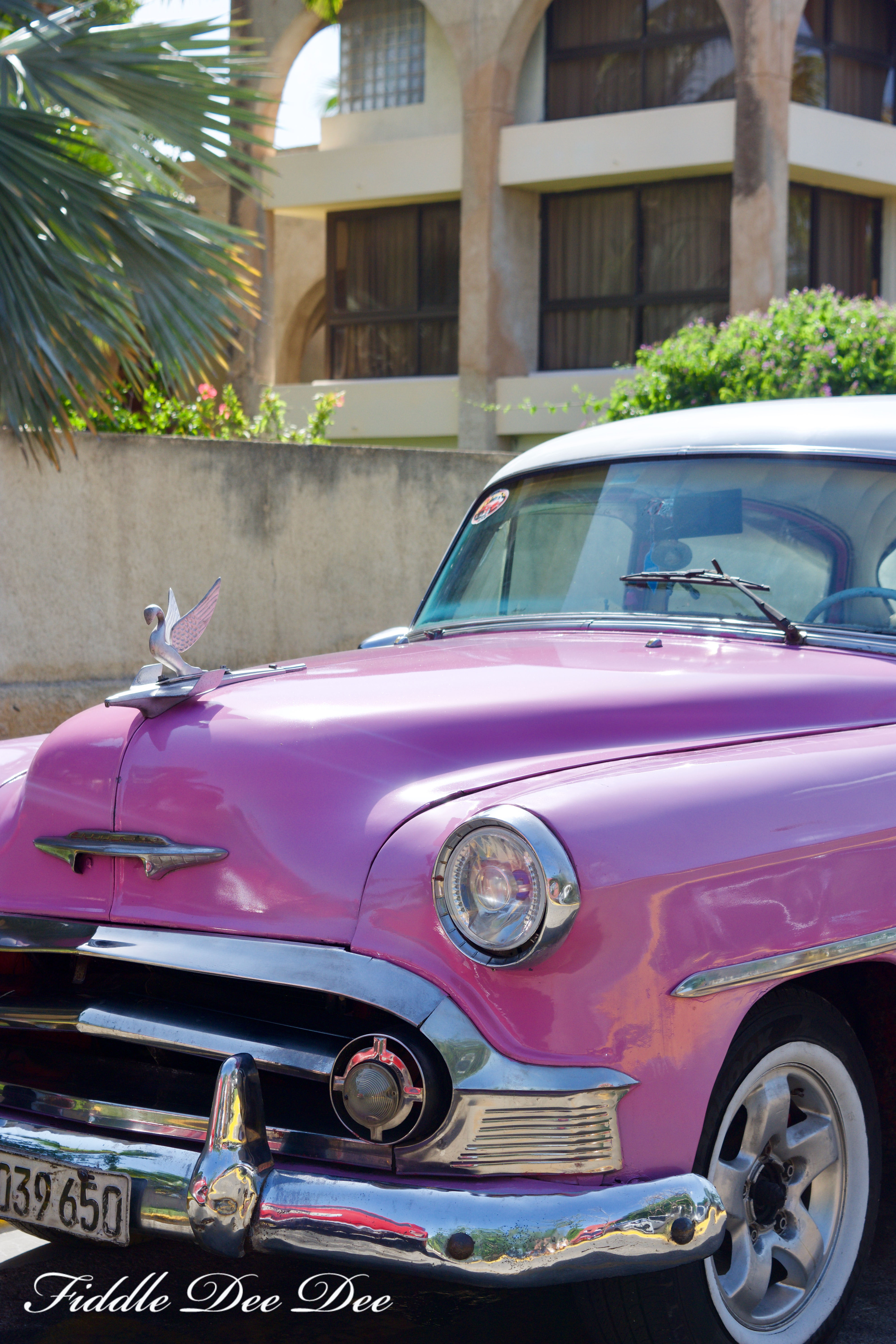 Cuban-Car-Show-6 | Fiddle Dee Dee