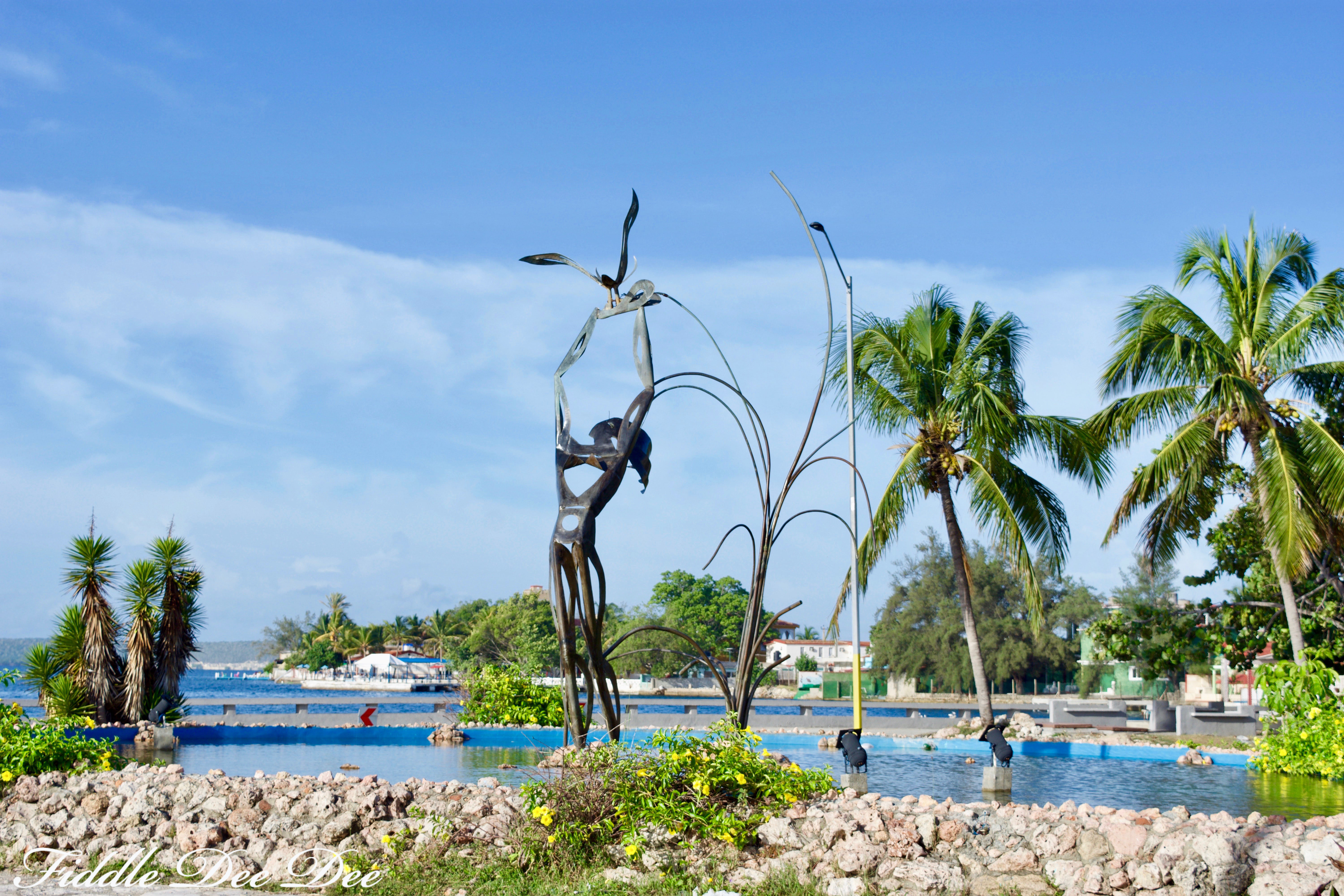 Punta-Gorda-2 | Fiddle Dee Dee