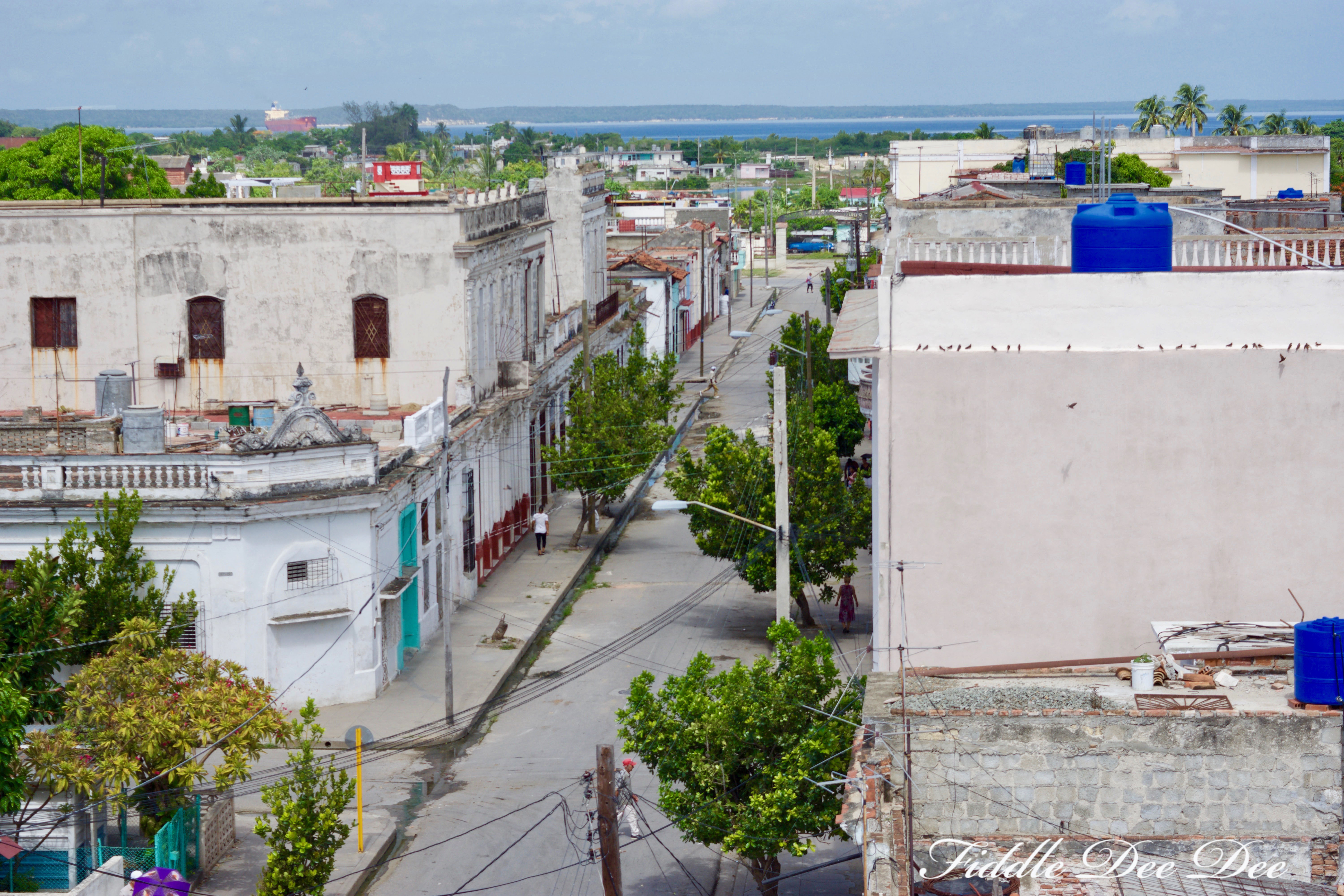 Roofline-View-Cienfuegos | Fiddle Dee Dee
