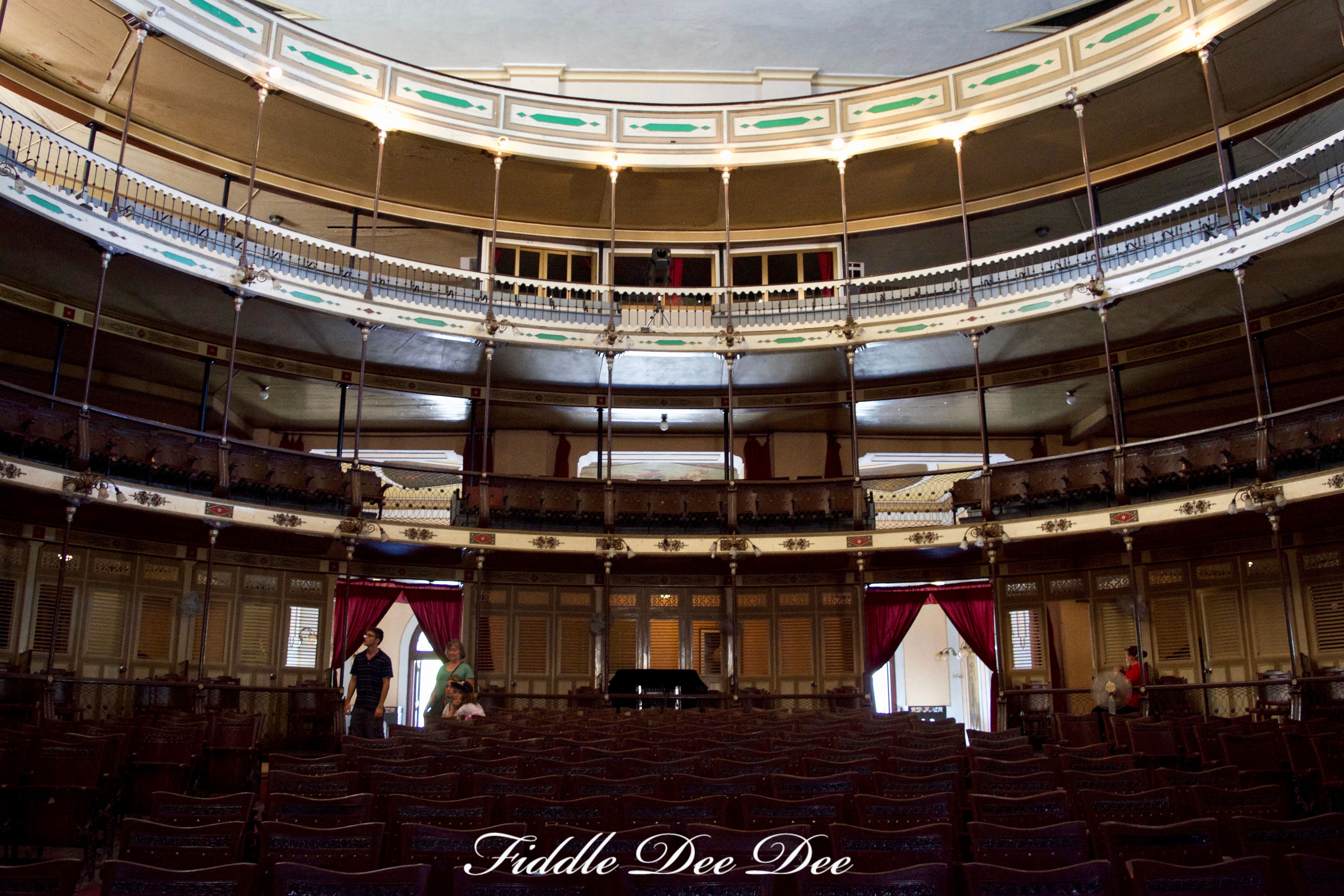 Tomas-Terry-Theater-4 | Fiddle Dee Dee