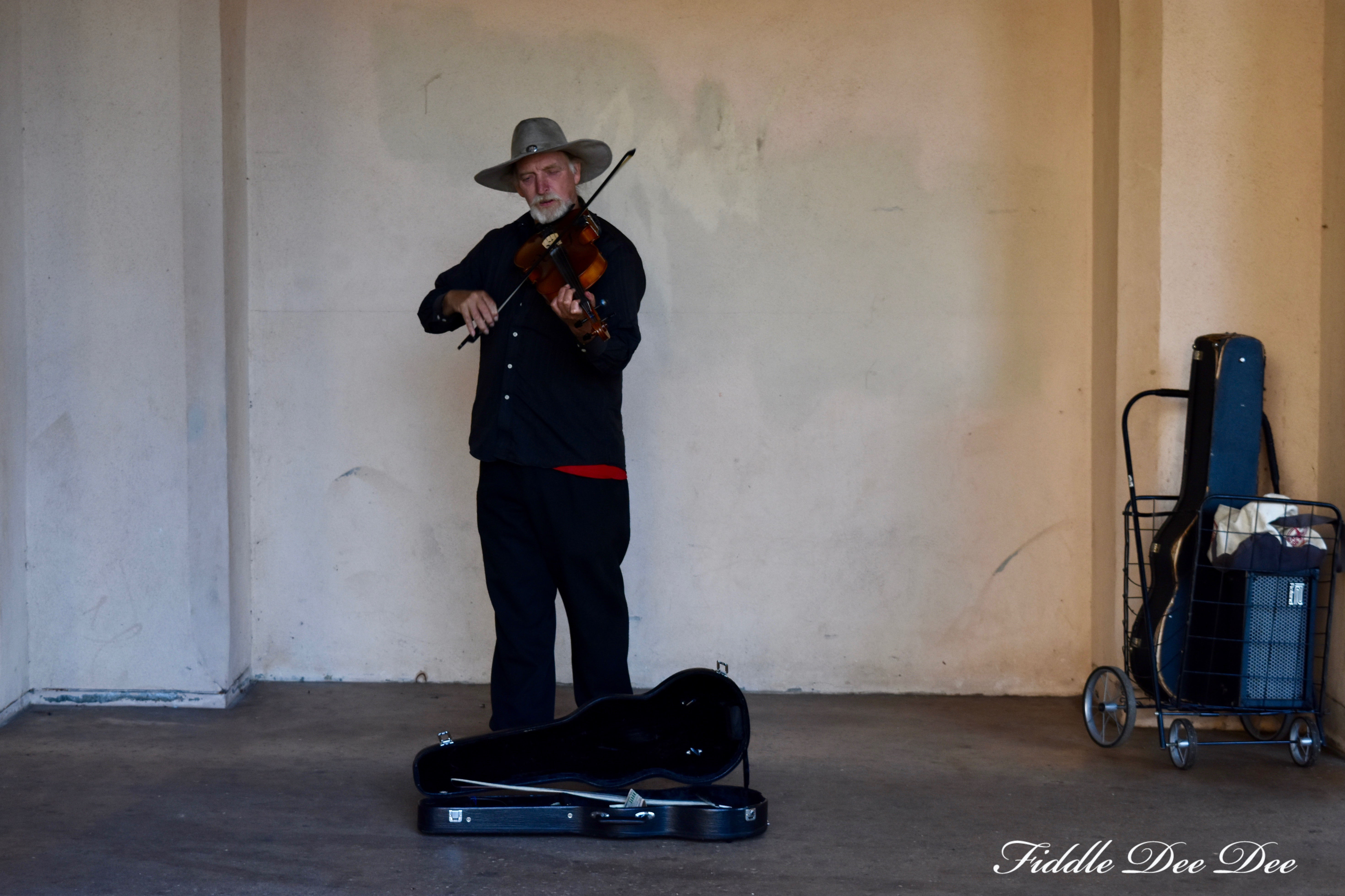 Balboa-Park-Musician | ohfiddledeedee.com