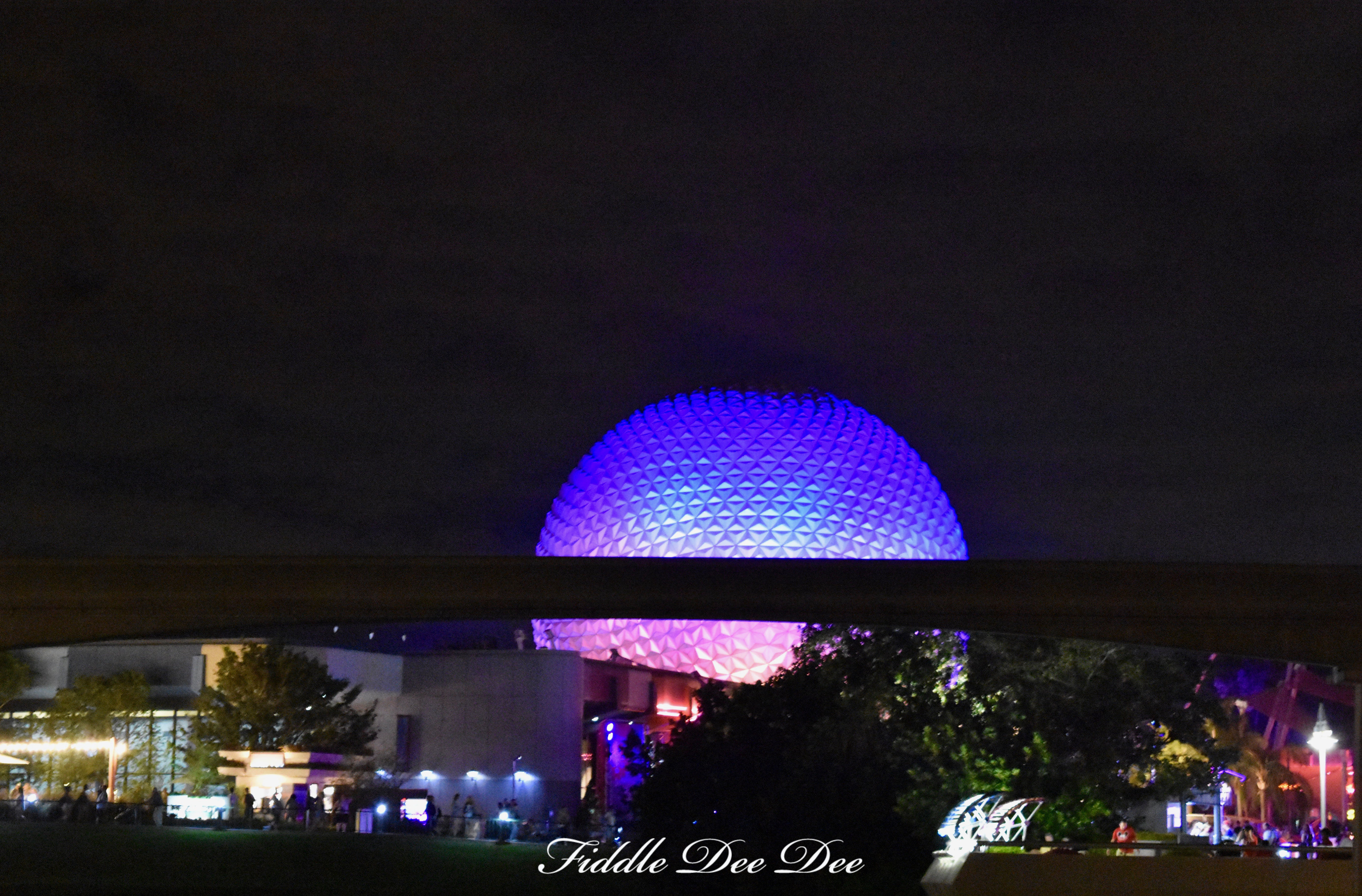 Epcot-Night