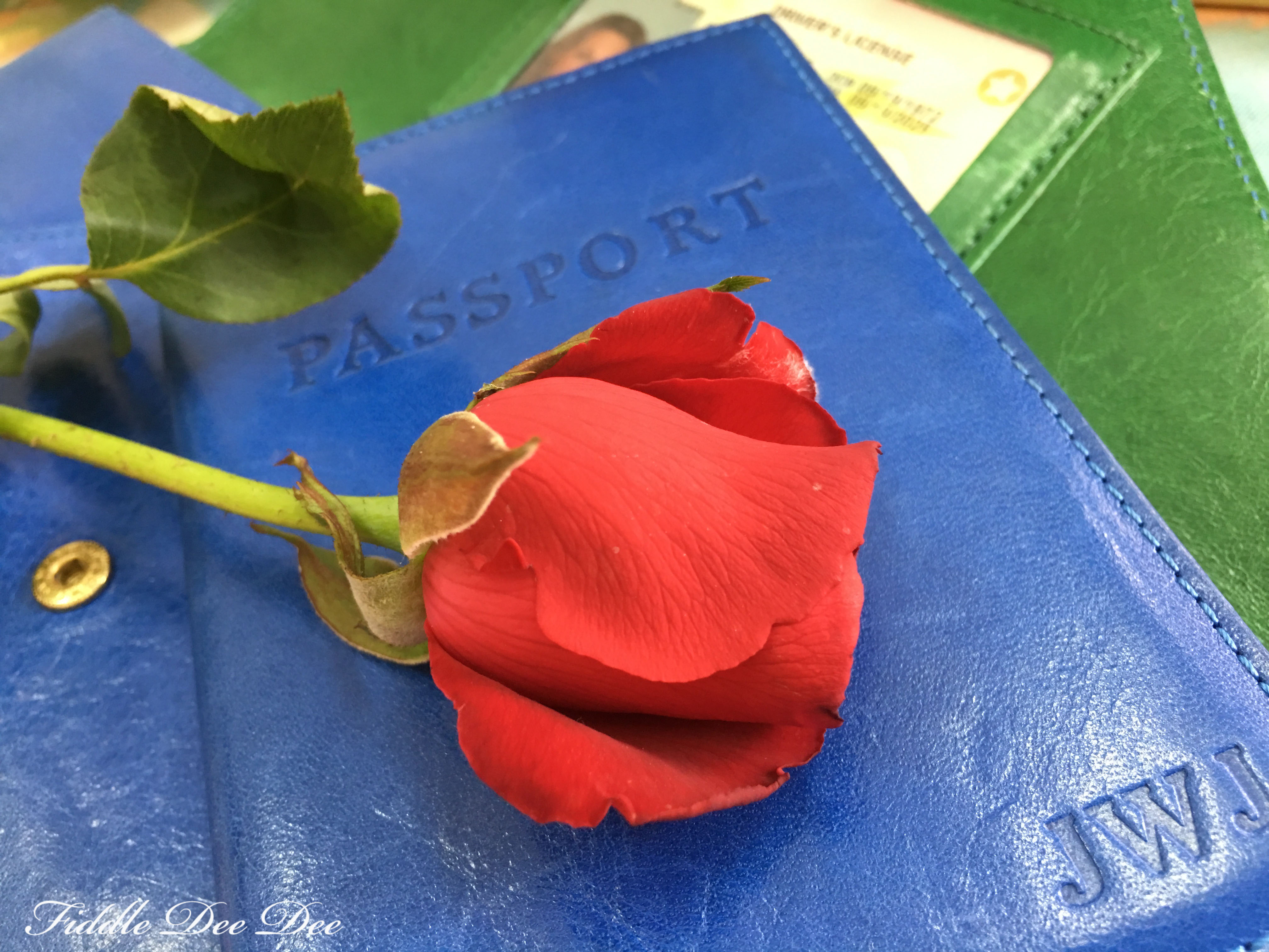 Passport-to-Travel | ohfiddledeedee