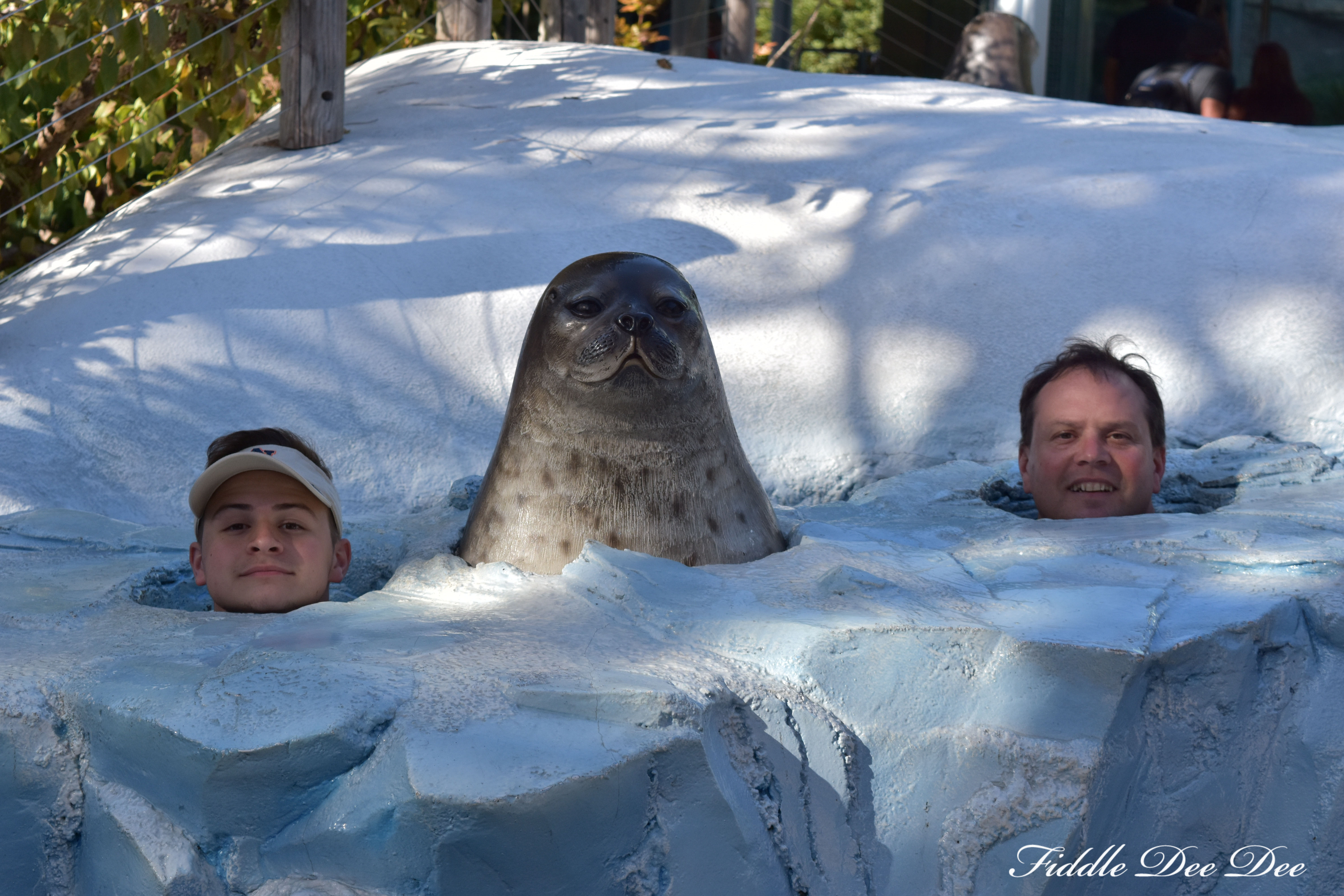 San-Diego-Zoo-North-Pole | ohfiddledeedee.com