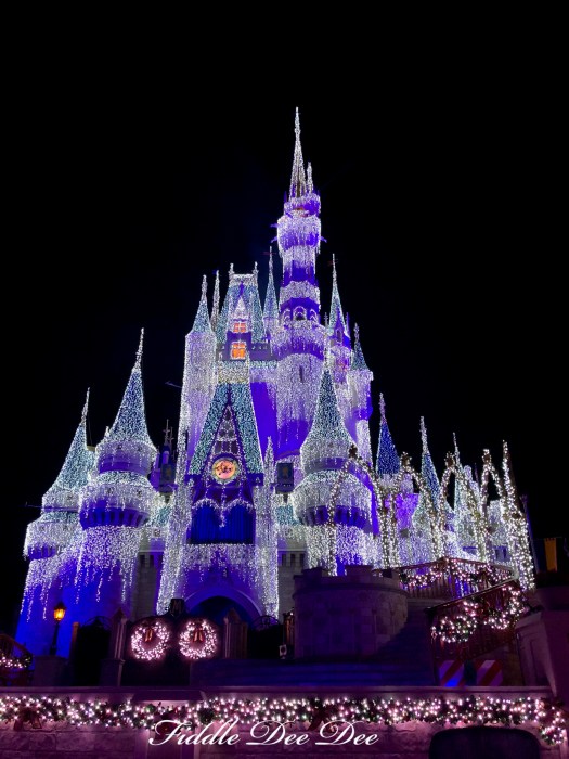 Cinderella-Castle-Lights | Fiddle Dee Dee